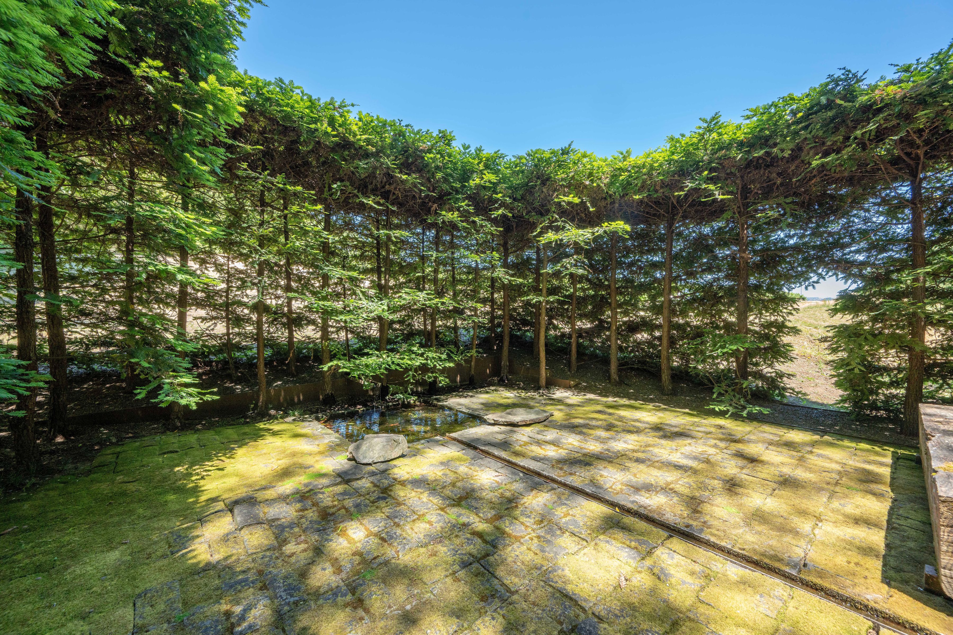 ObjectPhoto50