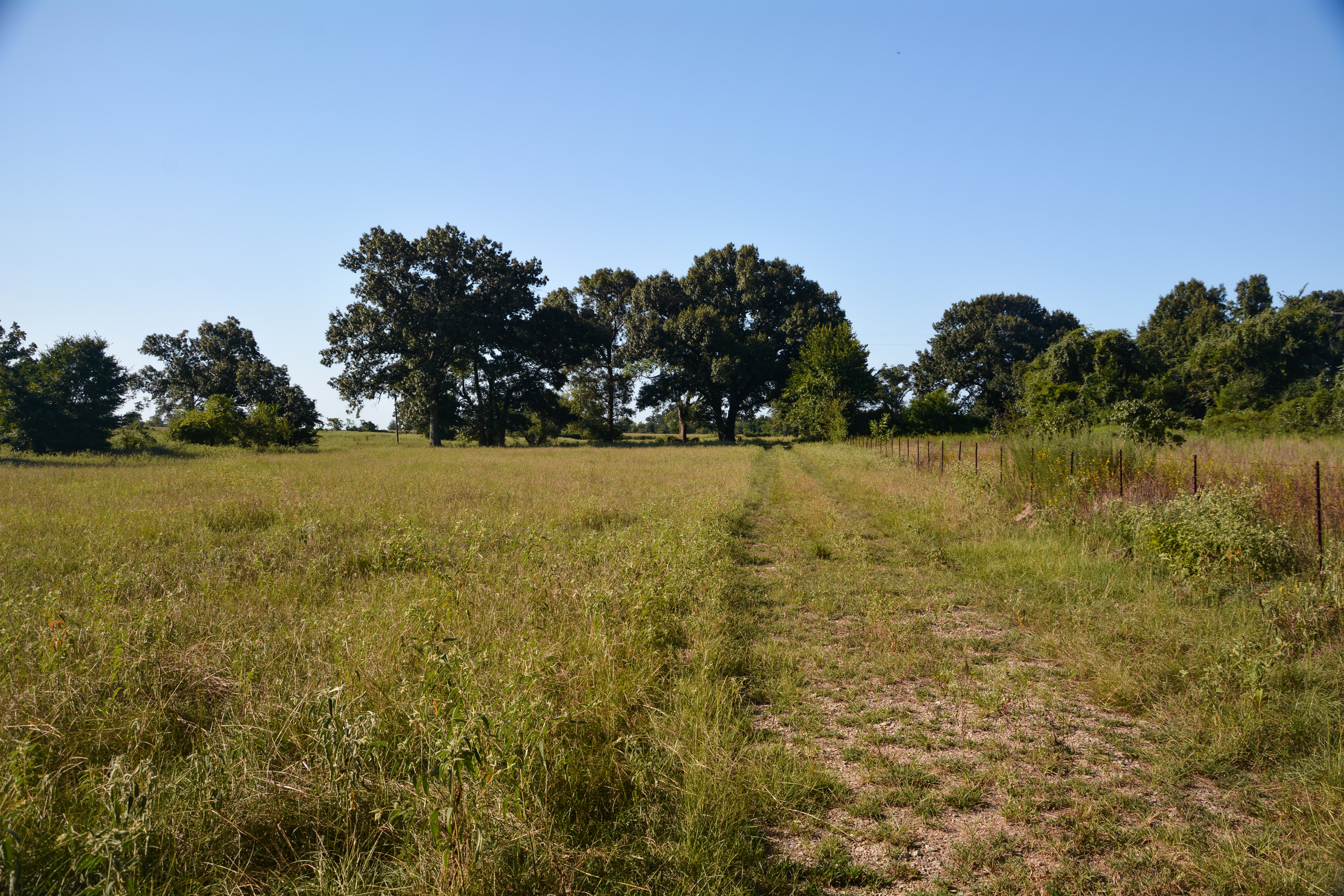 Grand Saline, Texas, 75140, United States, ,Residential,For Sale,1936963