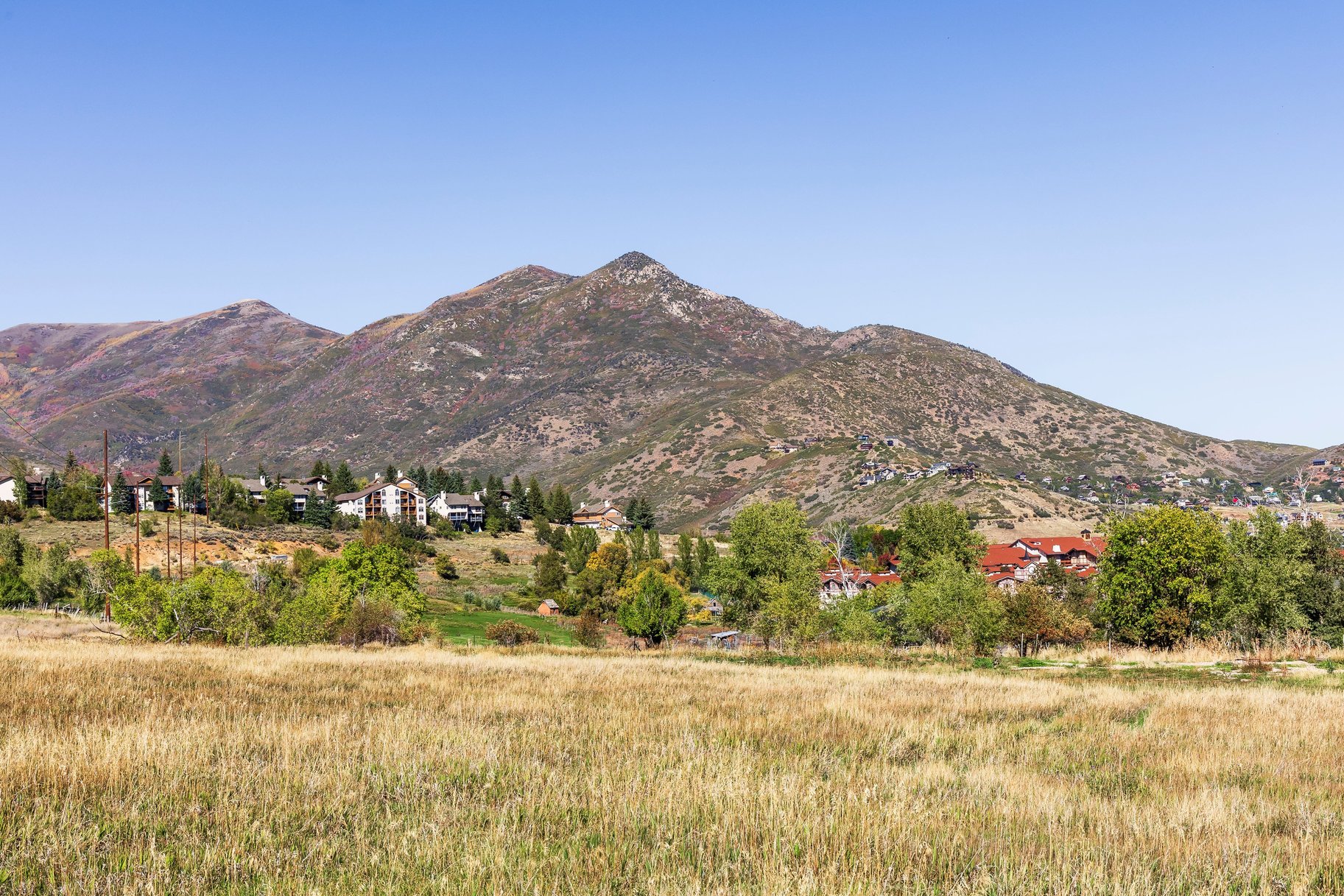 Rare 4-Acre Estate Property overlooking Midway - 物件實景