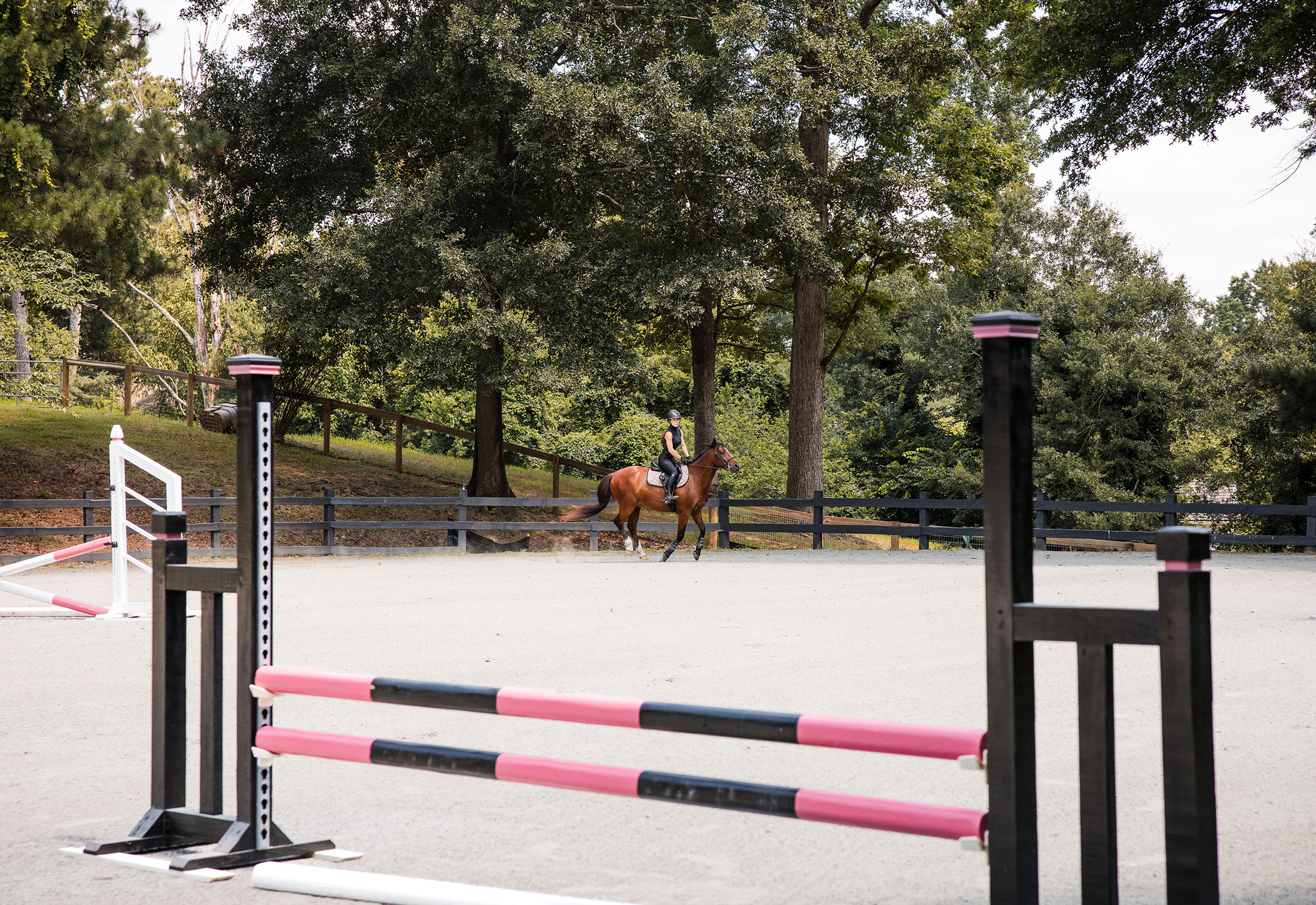  Rare Equestrian Facility with Prestigious Address - 物件實景