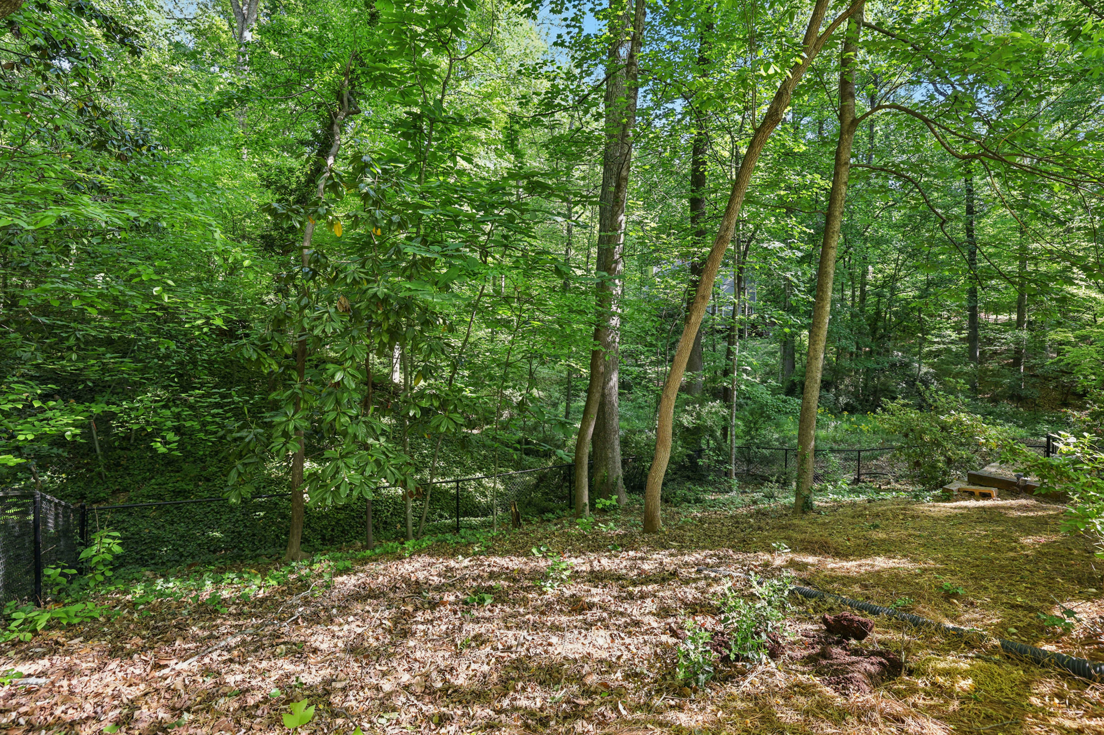  Standout Home in the Beloved Dunwoody North Neighborhood - 物件實景