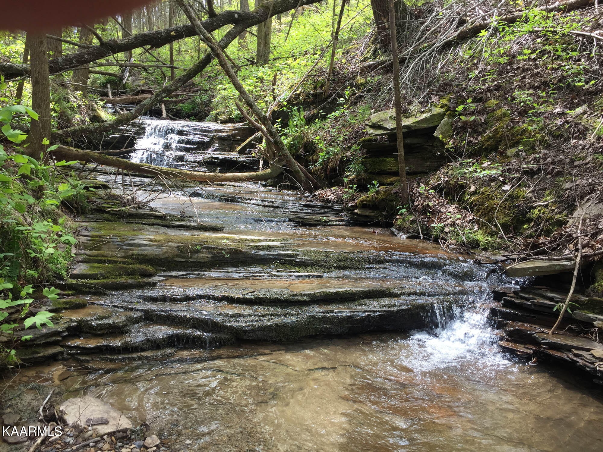 Pikeville, Tennessee, 37367, United States, ,Residential,For Sale,1943070