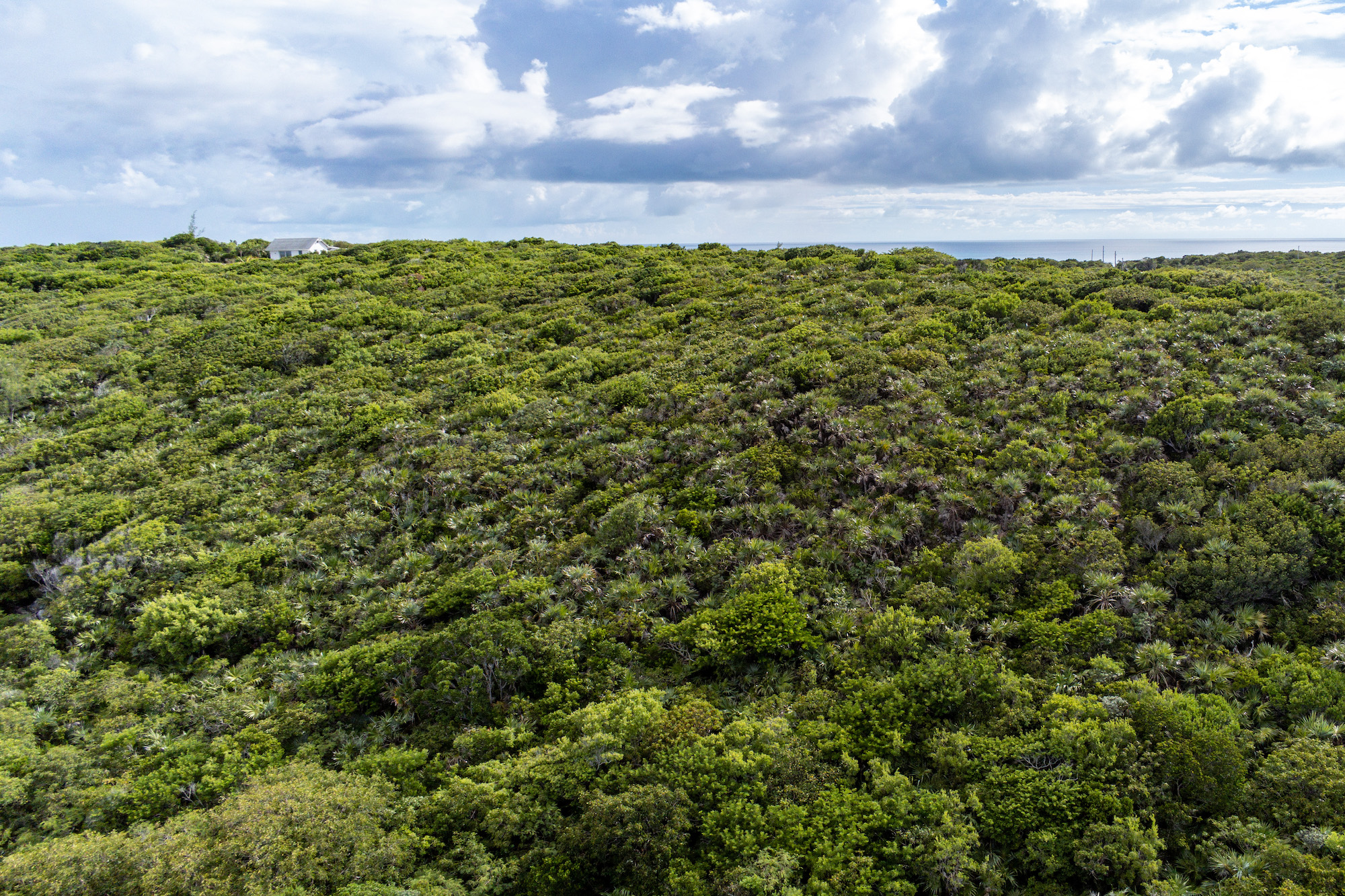  14.085 Acreage  North of Governors Harbour - 物件實景