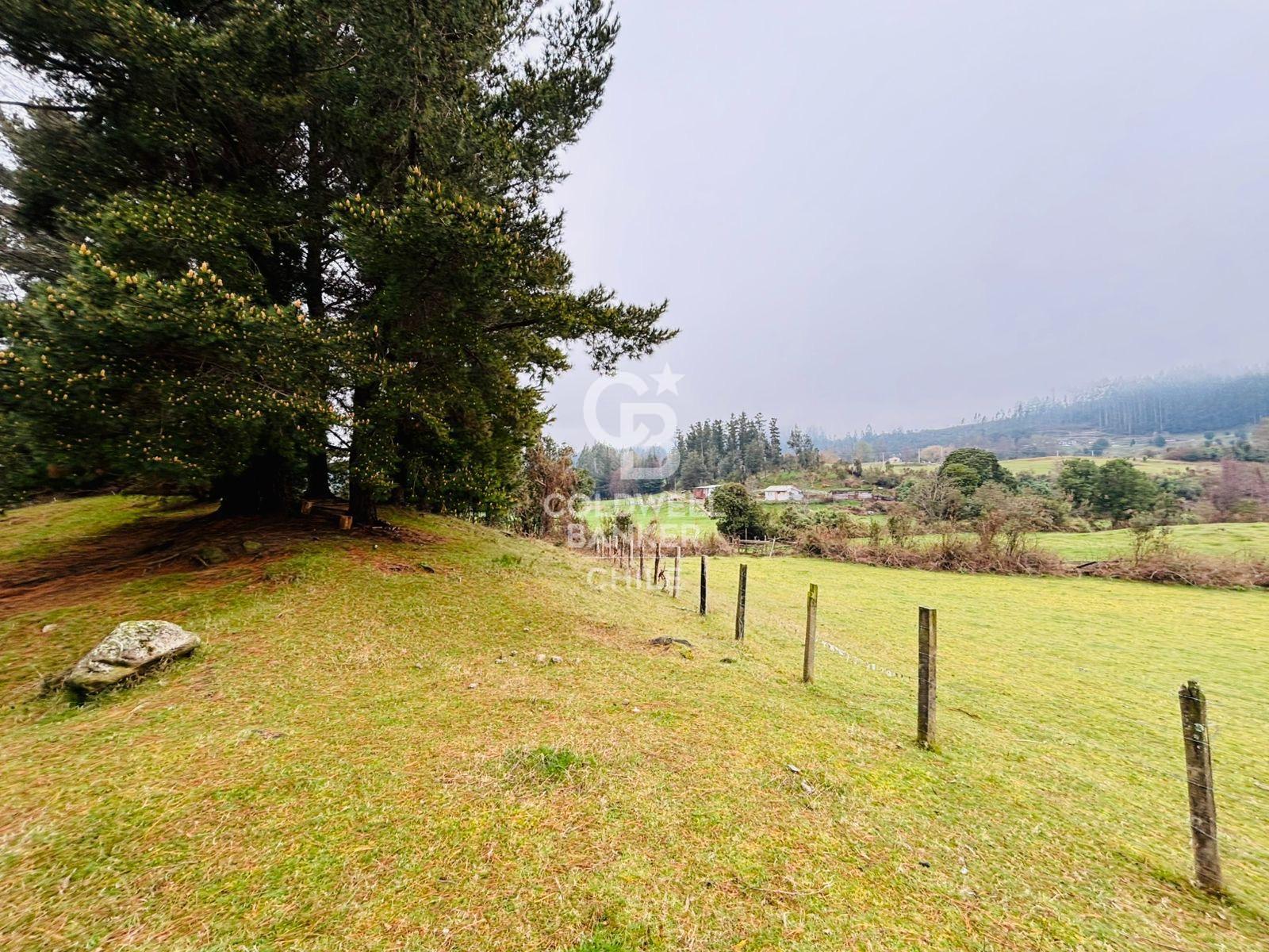 Futrono, Chile, ,Residential,For Sale,1934397