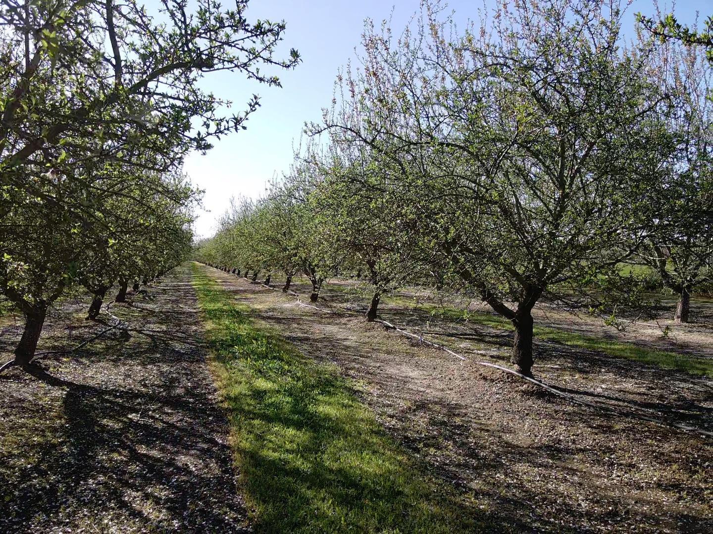 Turlock, California, 95380, United States, 3 Bedrooms Bedrooms, ,4 BathroomsBathrooms,Residential,For Sale,1993882