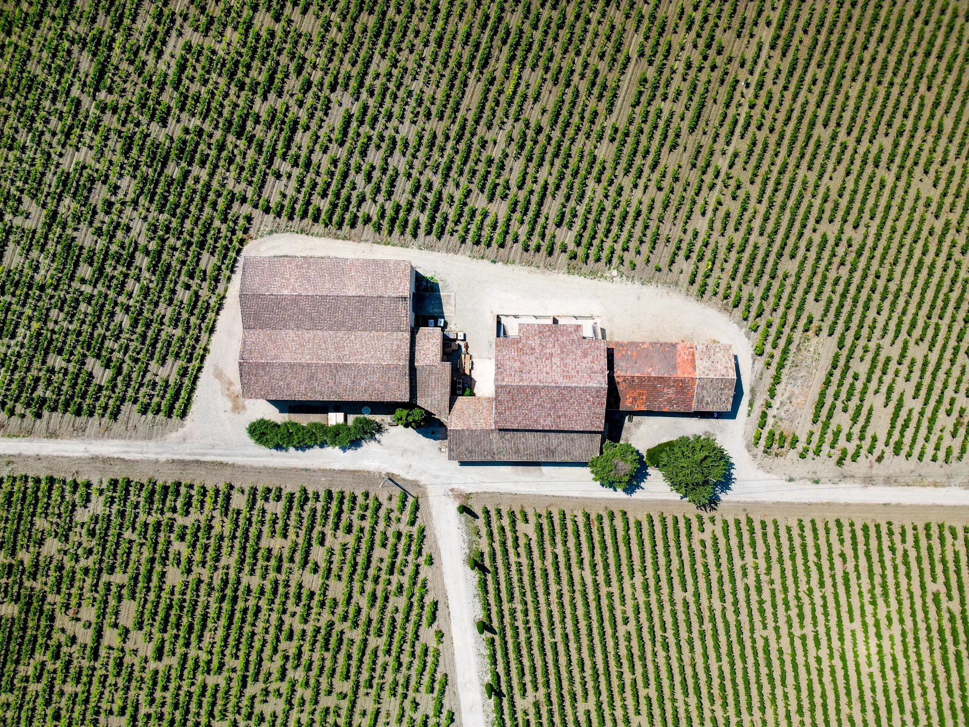 Sainte-Cécile-les-Vignes, Provence-Alpes-Côte d’Azur, 84290, FR, ,Residential,For Sale,2000724