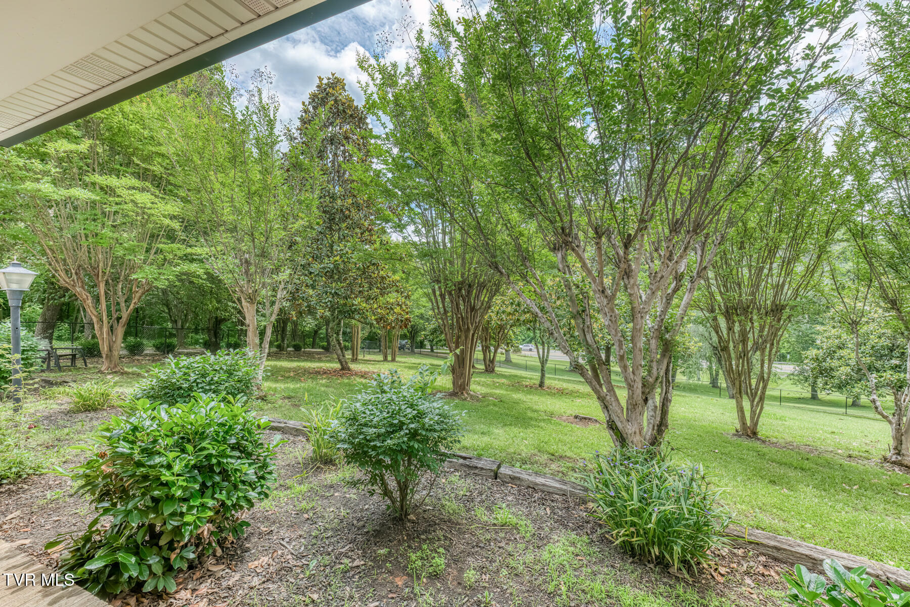 Afton, Tennessee, 37616, United States, 5 Bedrooms Bedrooms, ,3 BathroomsBathrooms,Residential,For Sale,2048467