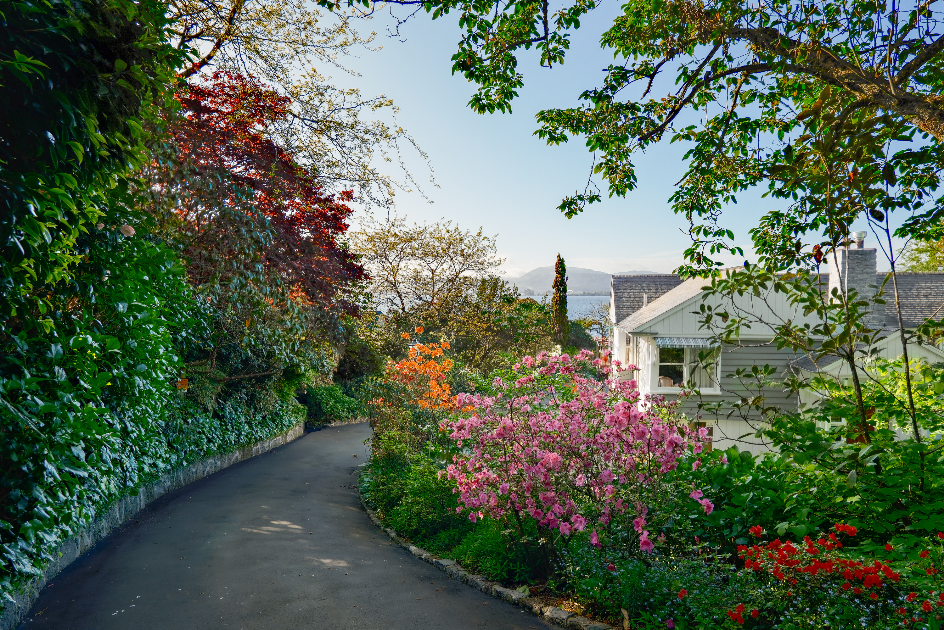  Timeless Lakeside Living at Kawaha Point - 物件實景