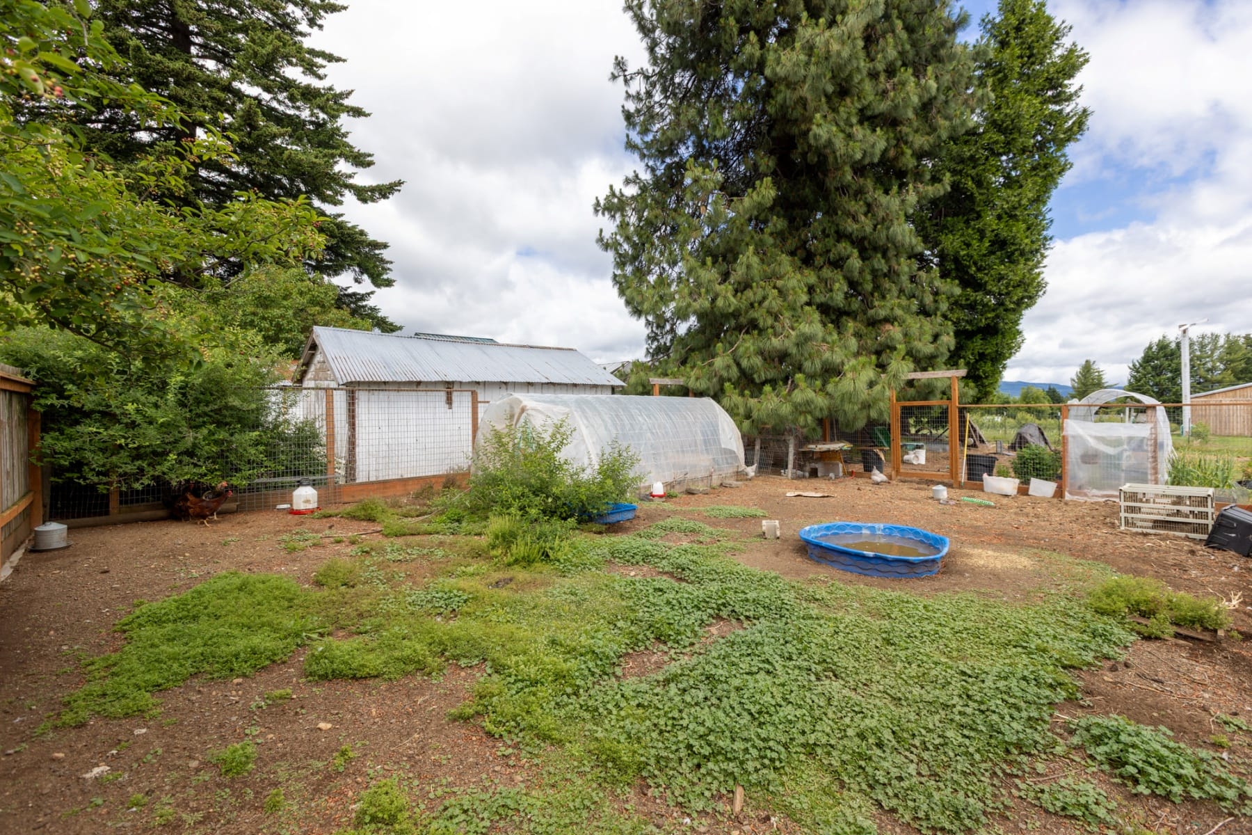  6455 TROUT CREEK RIDGE RD Mt Hood Prkdl, OR 97041 - 物件實景