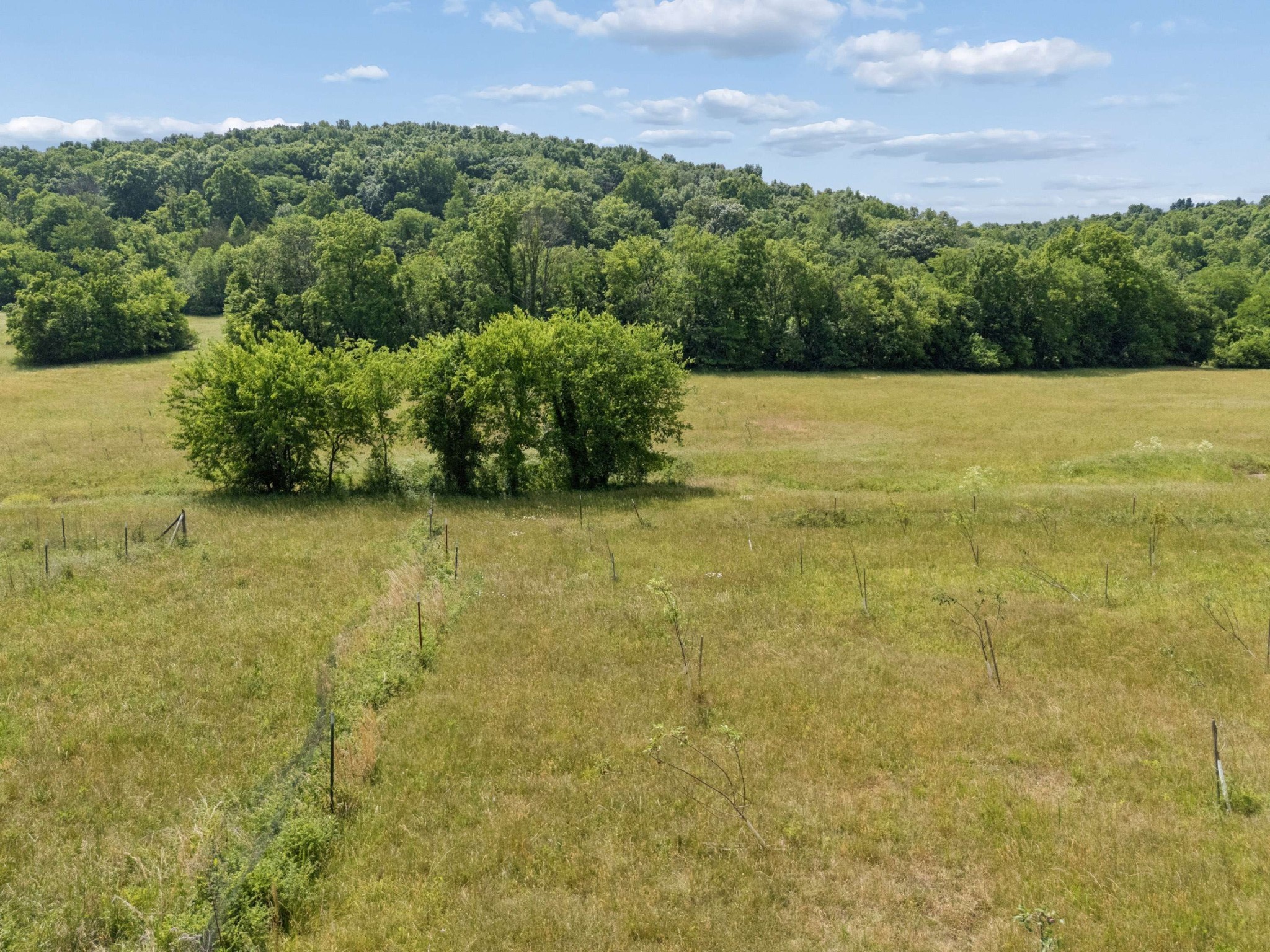  2063 Kennedy Creek Rd, Auburntown, TN, 37016 - 物件實景