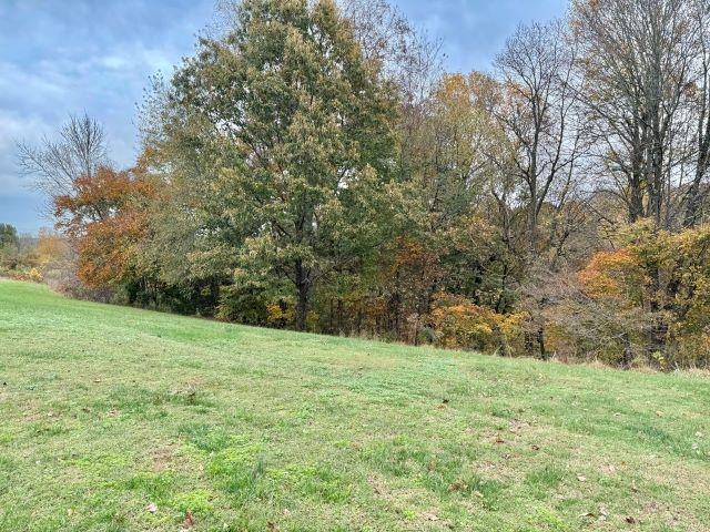 Scottsville, Kentucky, 42164, United States, 4 Bedrooms Bedrooms, ,3 BathroomsBathrooms,Residential,For Sale,1971649