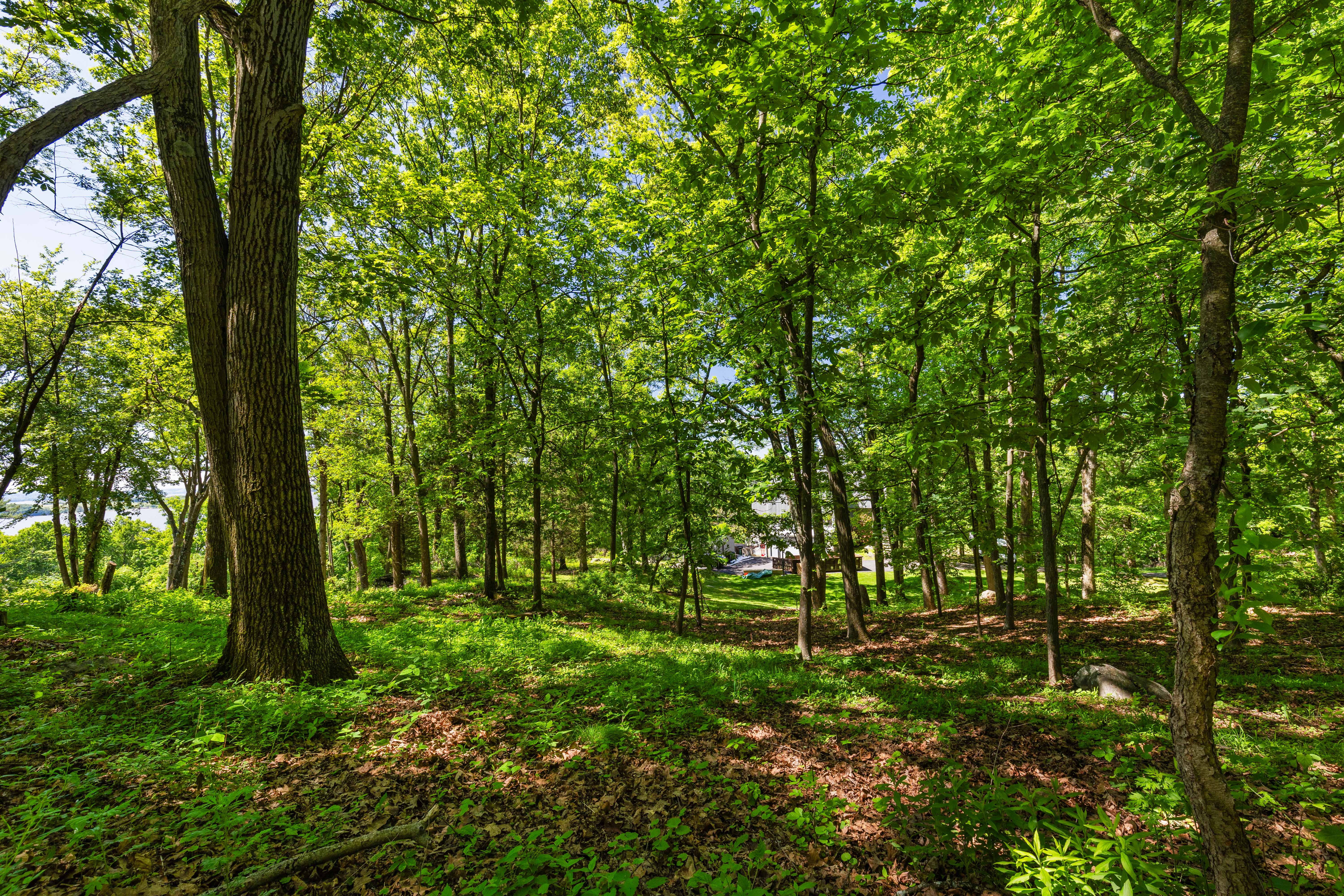  8 Prickly Pear Hill Road - 物件實景