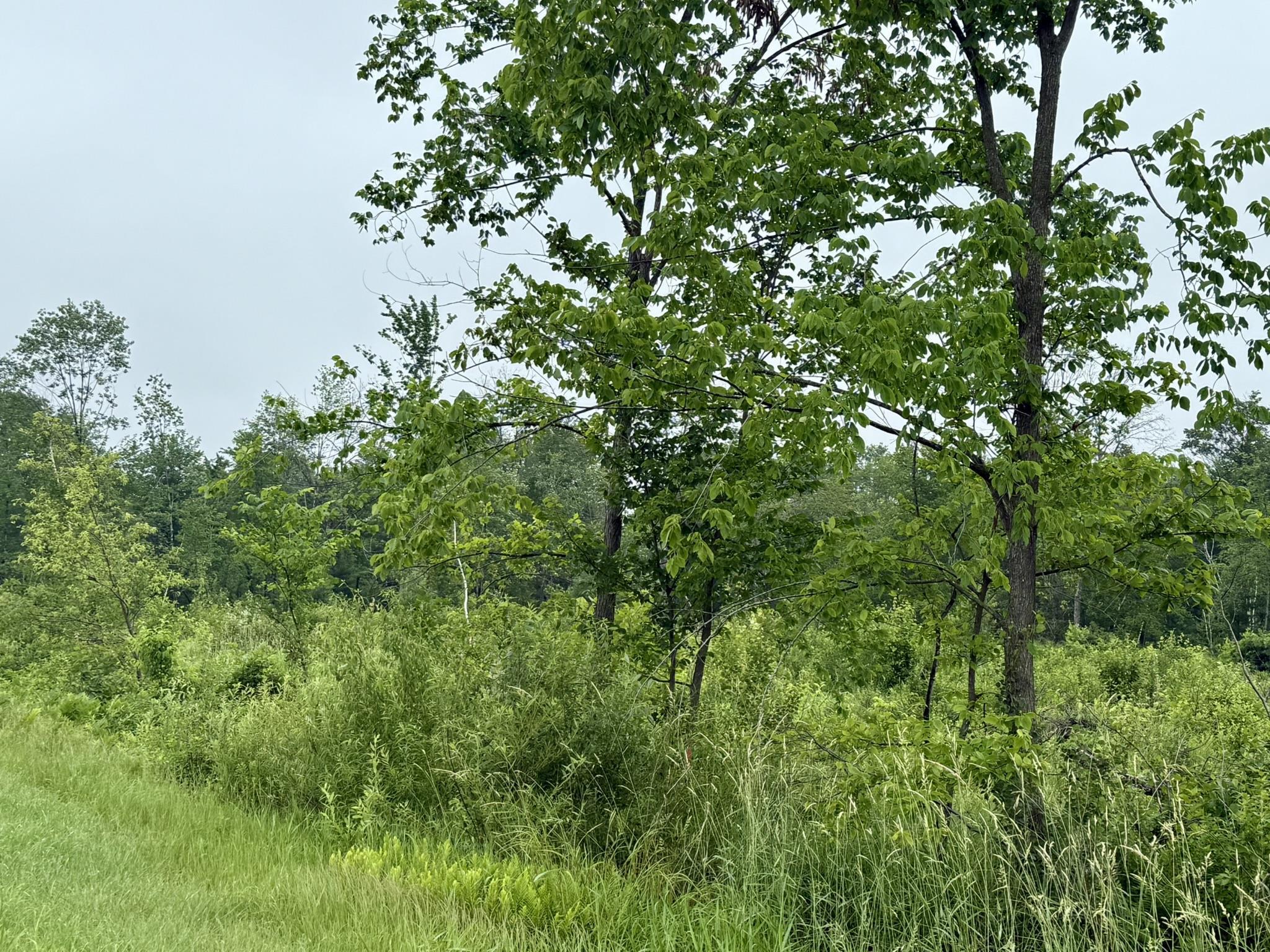 Warrens, Wisconsin, 54666, United States, 4 Bedrooms Bedrooms, ,3 BathroomsBathrooms,Residential,For Sale,1975252