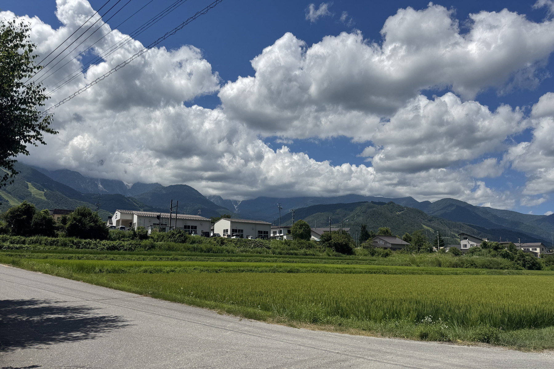  Land in Hokujo, Hakuba Village - 物件實景