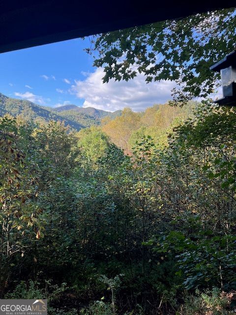 Clayton, Georgia, 30525, United States, 4 Bedrooms Bedrooms, ,6 BathroomsBathrooms,Residential,For Sale,1962223