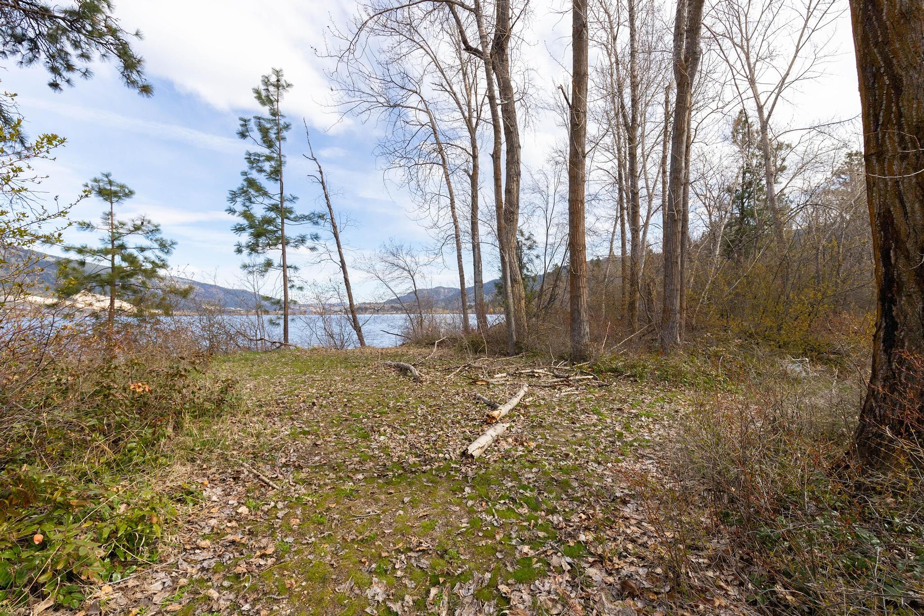  Lakeshore Oyama Lot - 物件實景