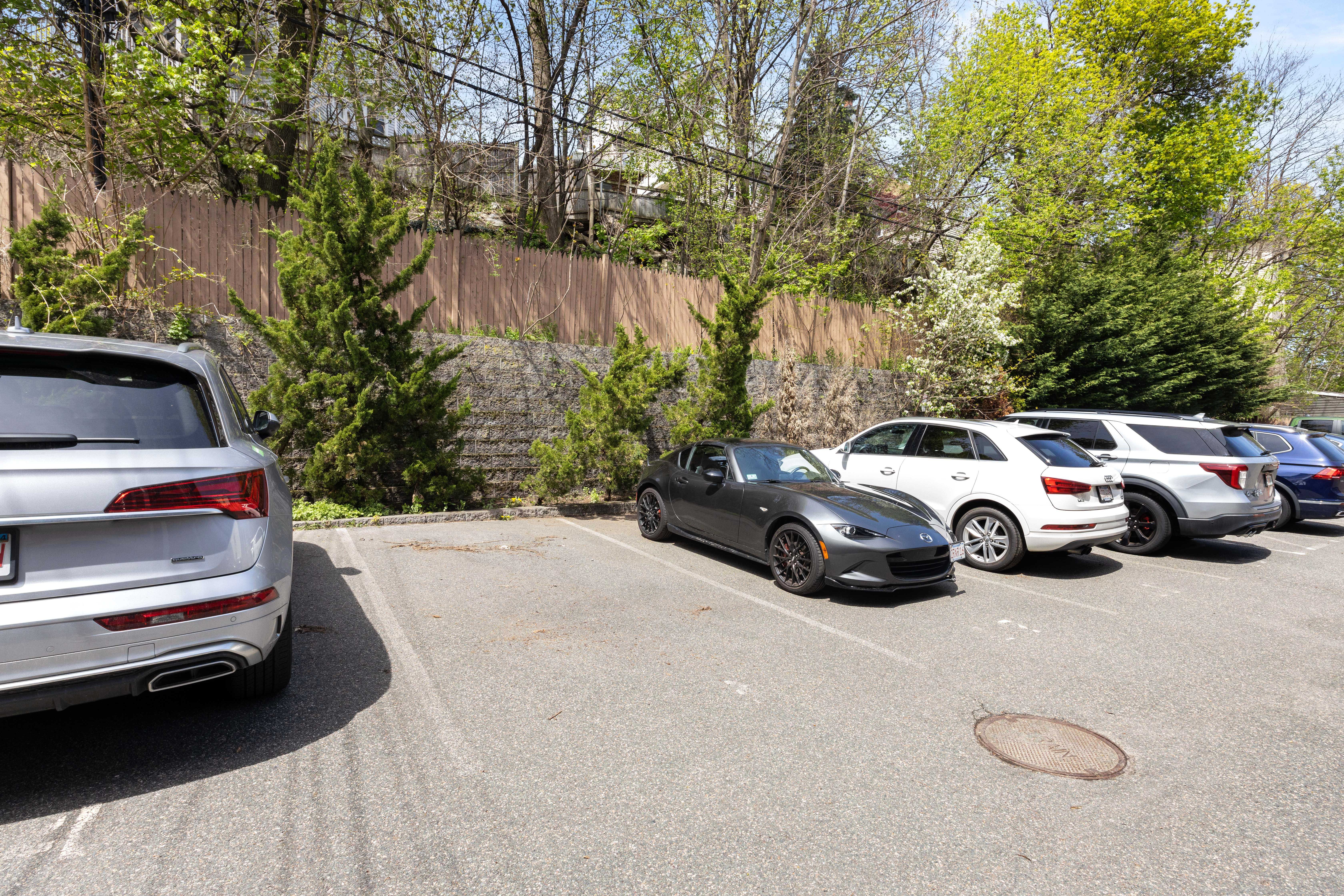  113 Pleasant Street, Unit 6, Boston, MA 02125 - 物件實景