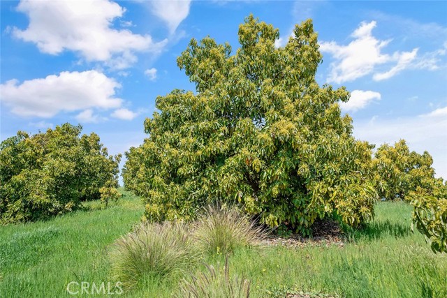 Temecula, California, 92590, United States, ,Land,For Sale,1981678