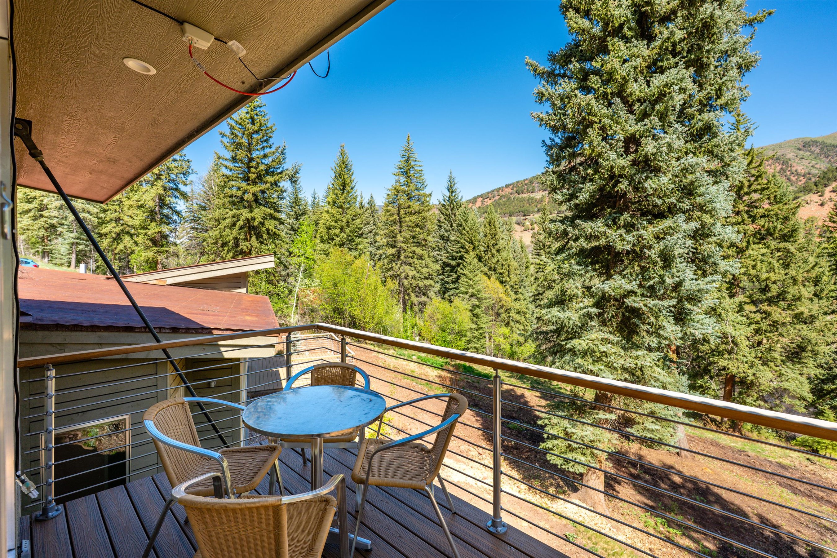  768 Kings Lake Road, Basalt, CO 81621 - 物件實景
