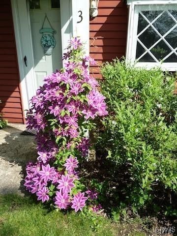 Skaneateles, New York, 13152, United States, 3 Bedrooms Bedrooms, ,2 BathroomsBathrooms,Residential,For Sale,1988278