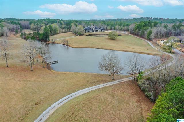 Calera, Alabama, 35040, United States, 5 Bedrooms Bedrooms, ,6 BathroomsBathrooms,Residential,For Sale,2006341