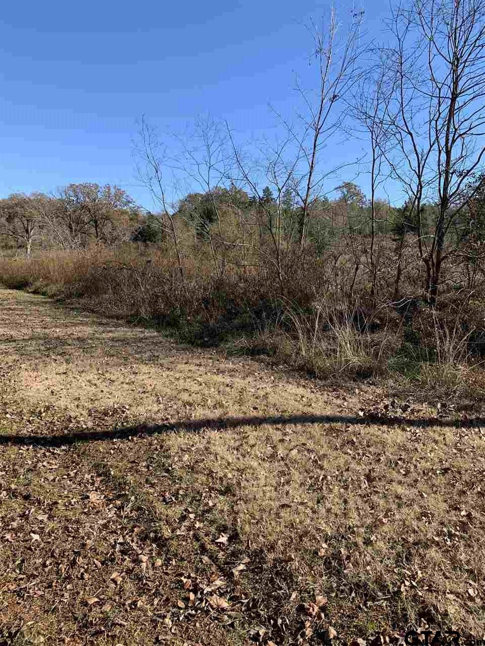 TBD CR 463 & I20, Lindale, Texas, 75771, United States, ,Land,For Sale,TBD CR 463 & I20,1673593