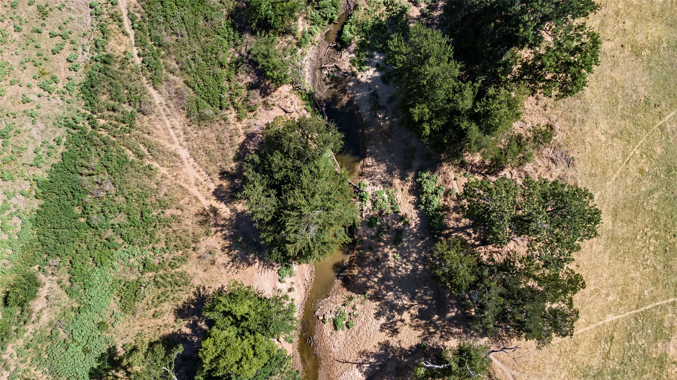 Reagan, Texas, 76680, United States, ,Land,For Sale,1986271