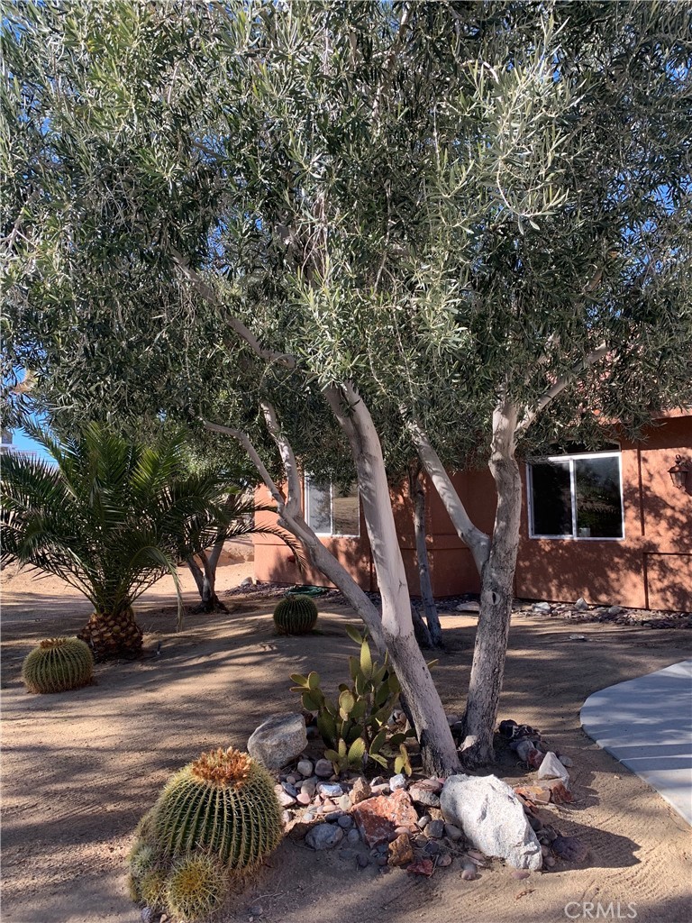 61218 Sandalwood, Joshua Tree, California, 92252, United States, 3 Bedrooms Bedrooms, ,2 BathroomsBathrooms,Residential,For Sale,61218 Sandalwood,1619785