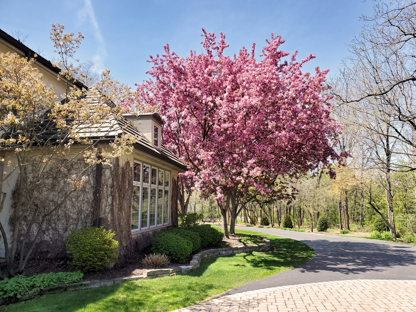 Wayne, Illinois, 60184, United States, 5 Bedrooms Bedrooms, ,7 BathroomsBathrooms,Residential,For Sale,2006495