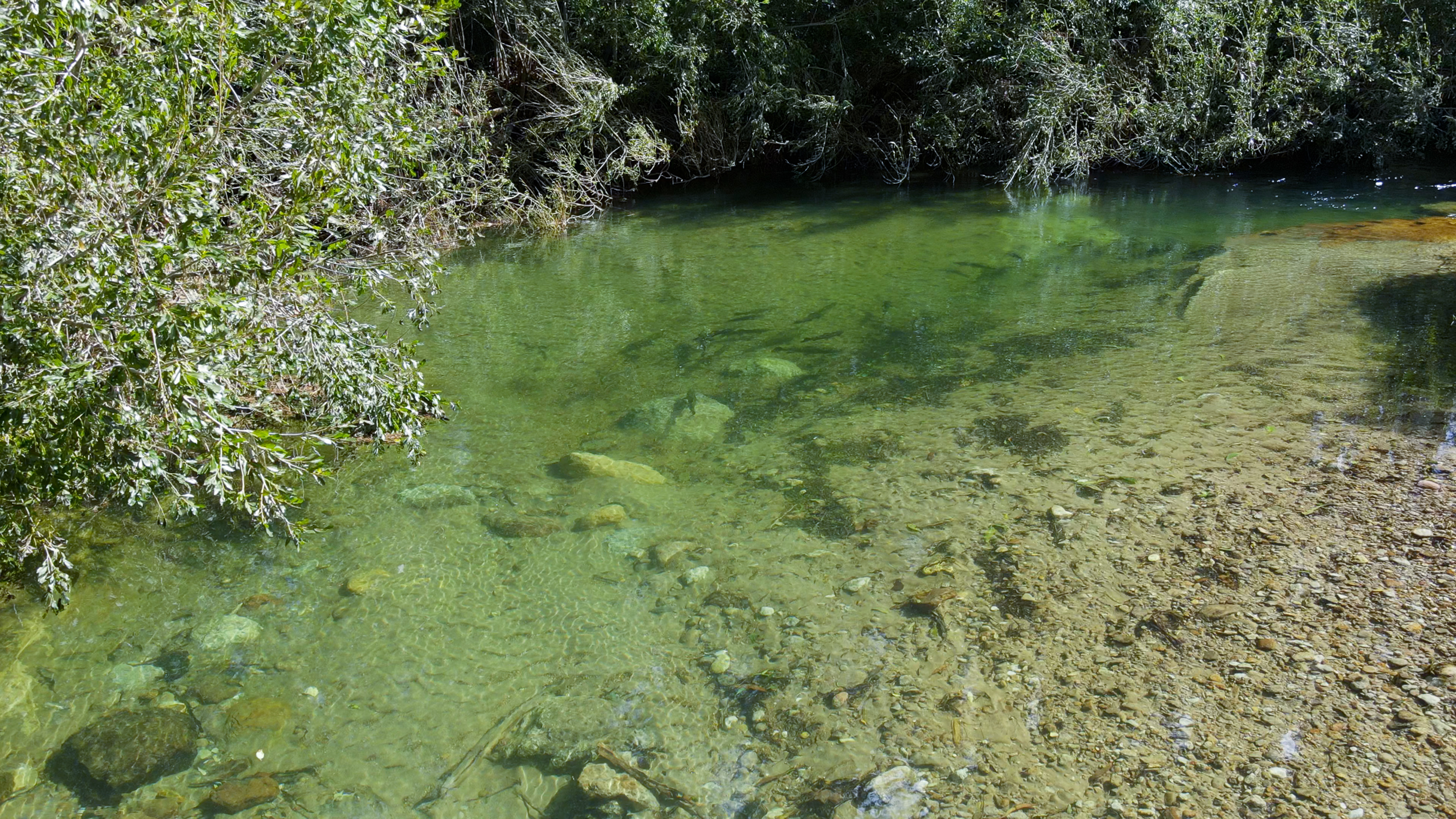  80 Hampson Place, Hamurana - 物件實景