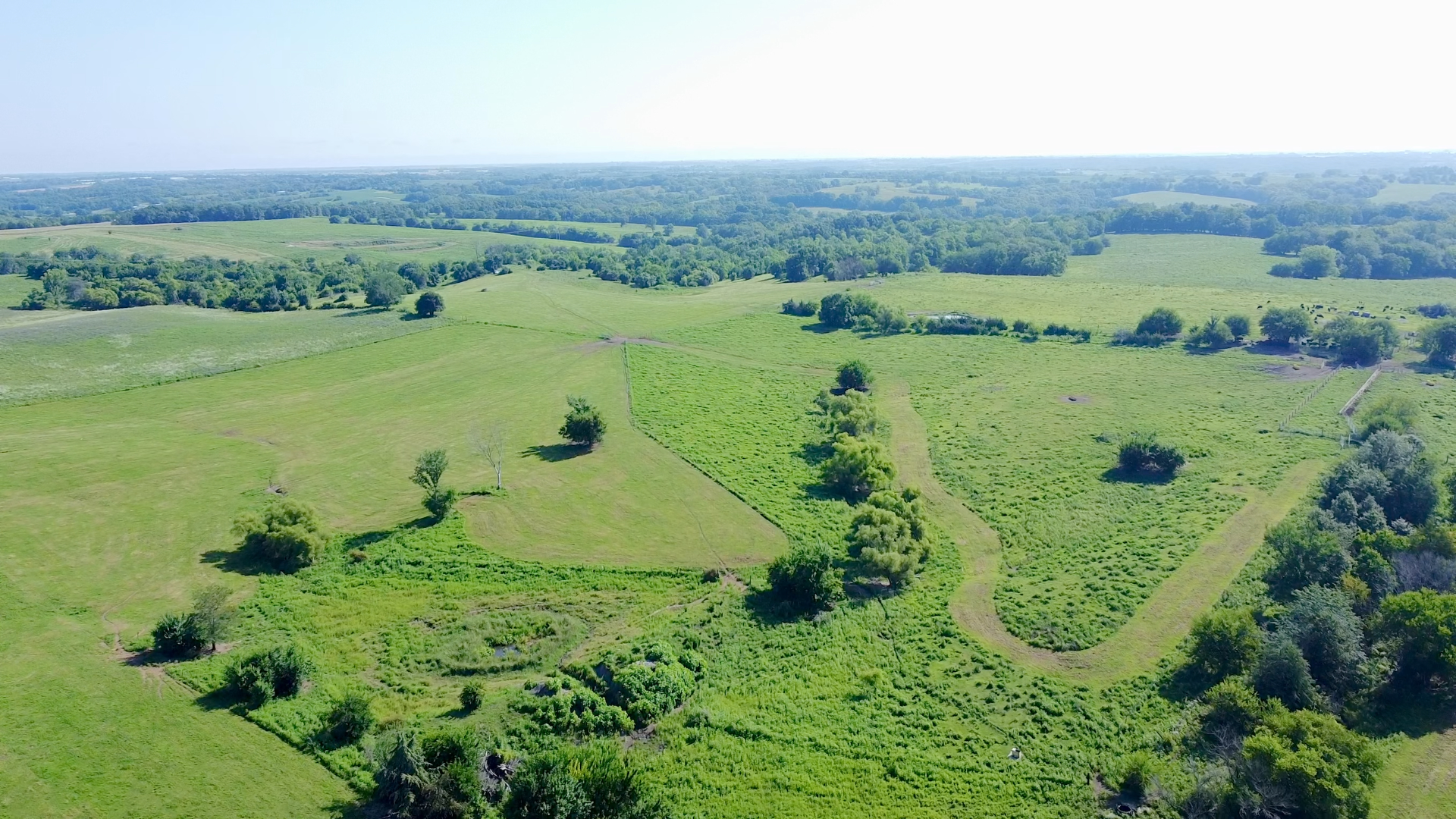 Princeton, Missouri, 64673, United States, ,Land,For Sale,2001559