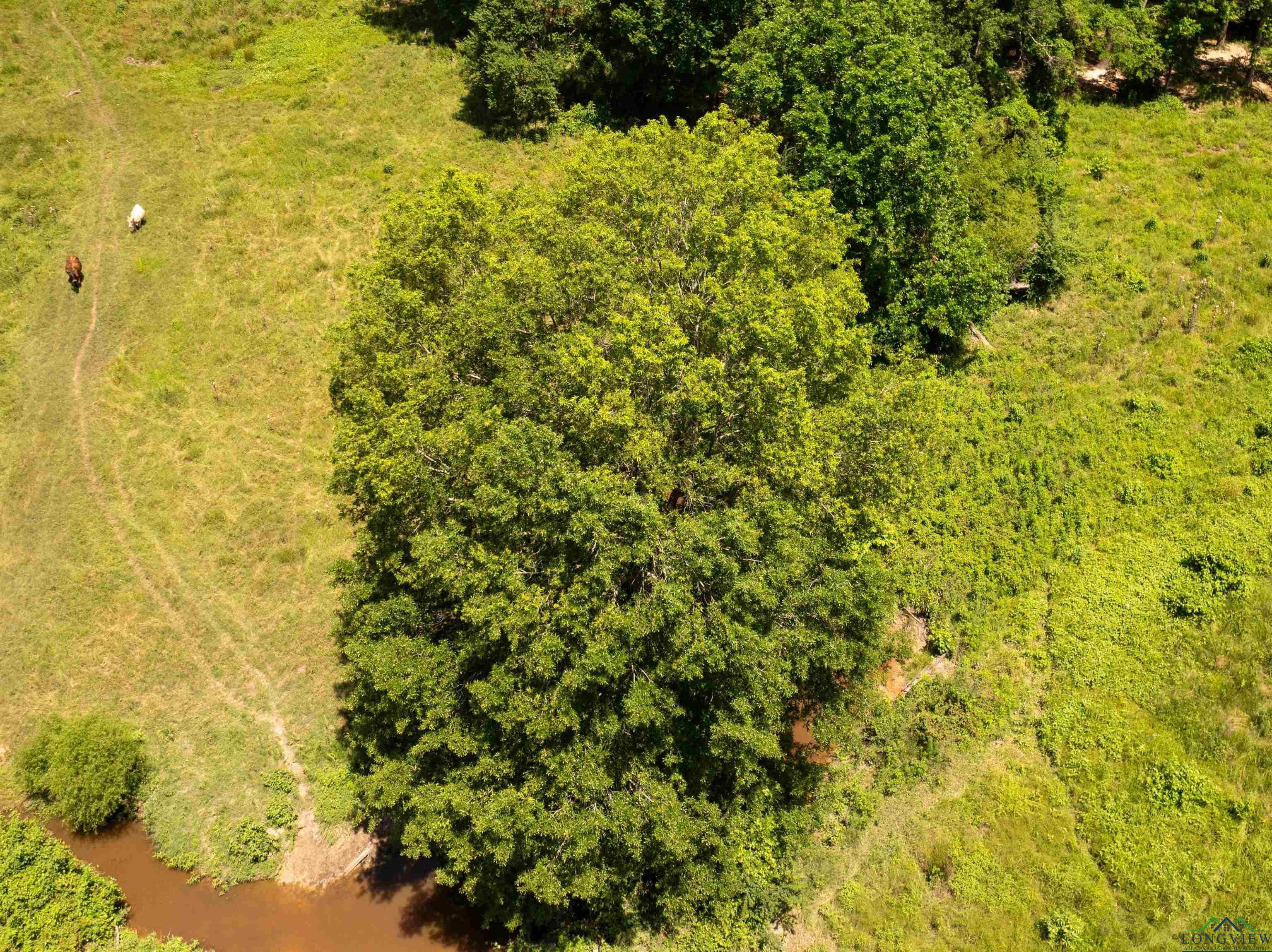 7557 FM 248, Lodi, Texas, 75564, United States, ,Residential,For Sale,7557 FM 248,1614560