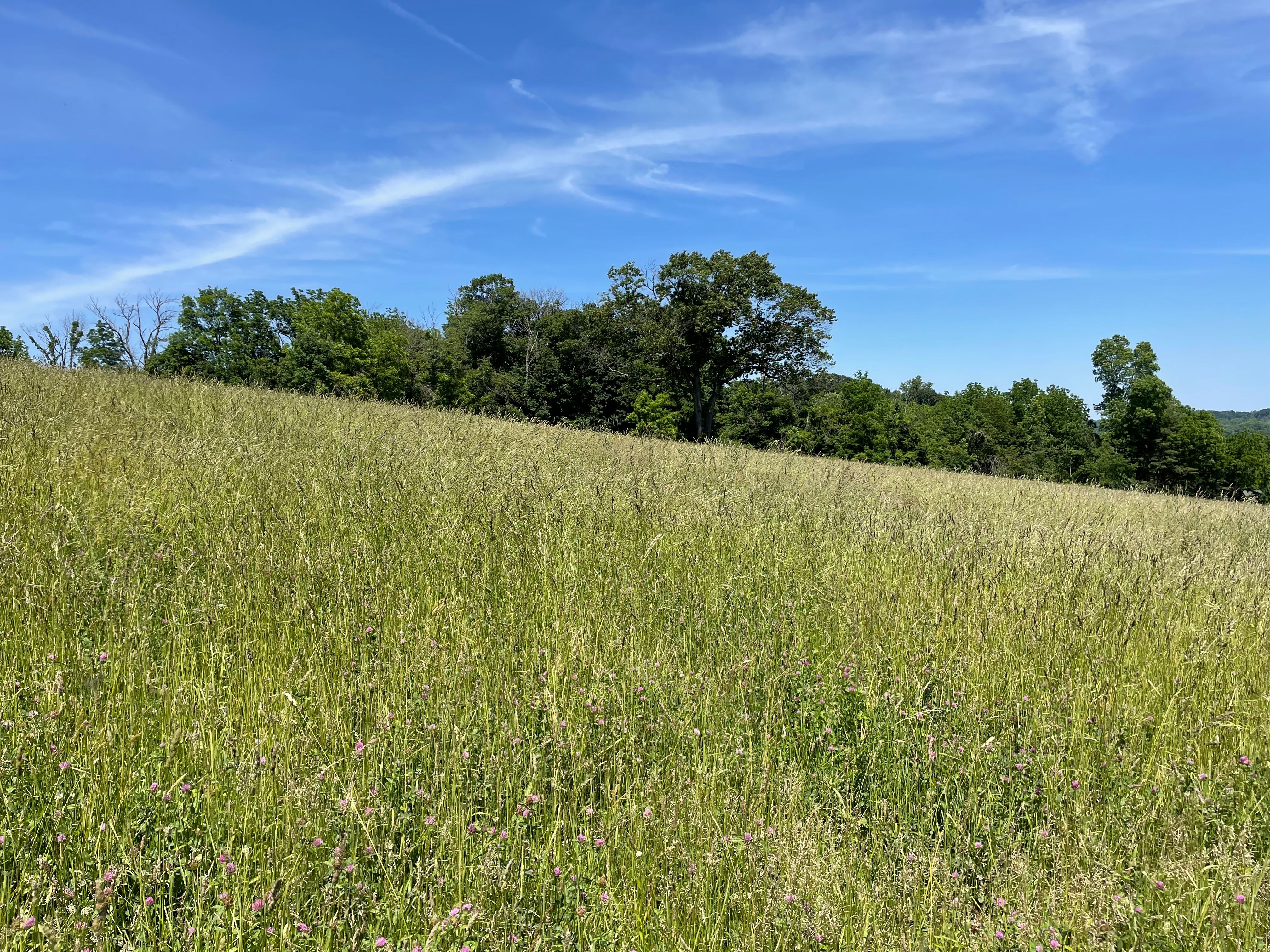  4099 Curly Hill Road, Doylestown, PA 18902 - 物件實景