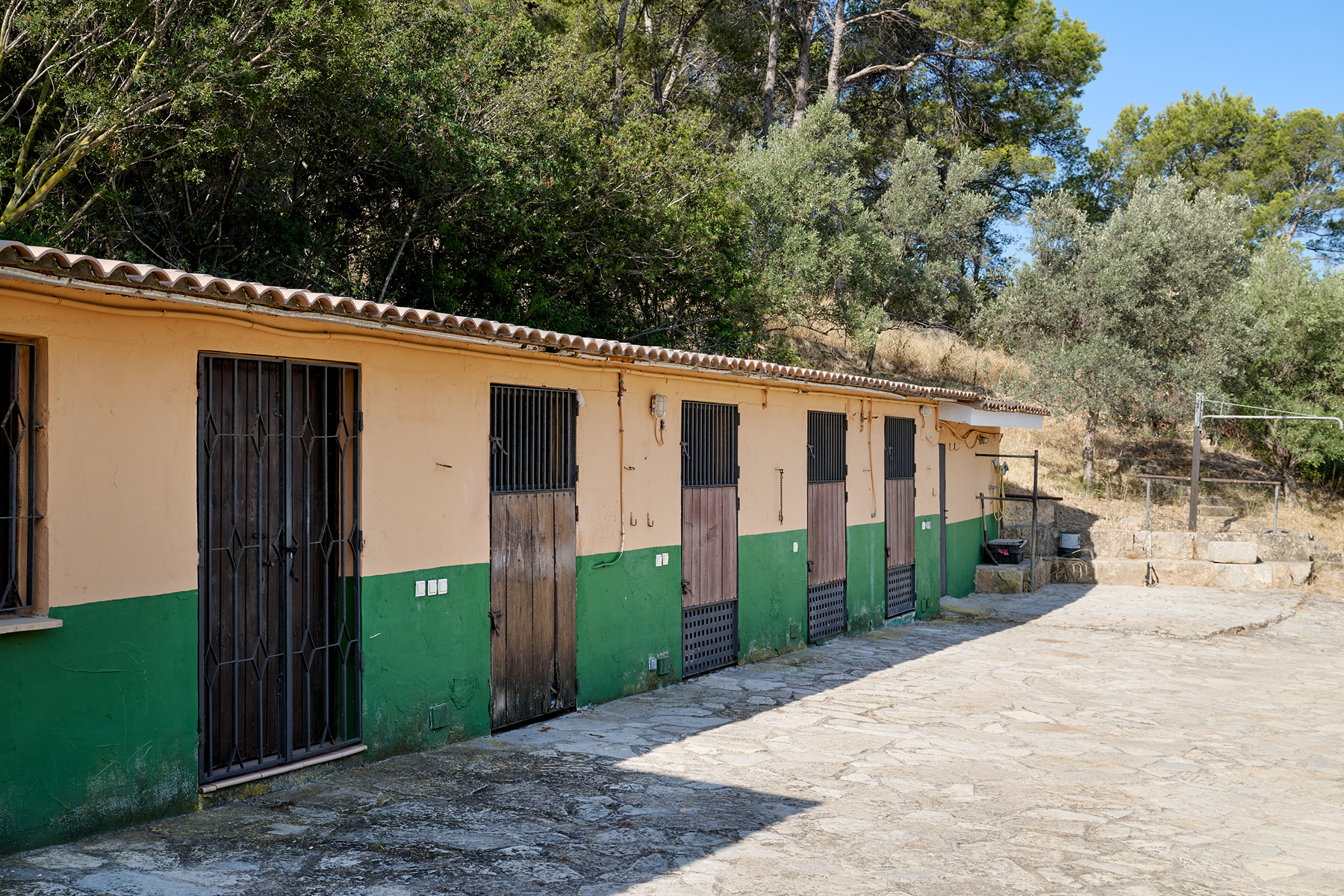  Country Estate with Equestrian Facilities in Port Andratx - 物件實景
