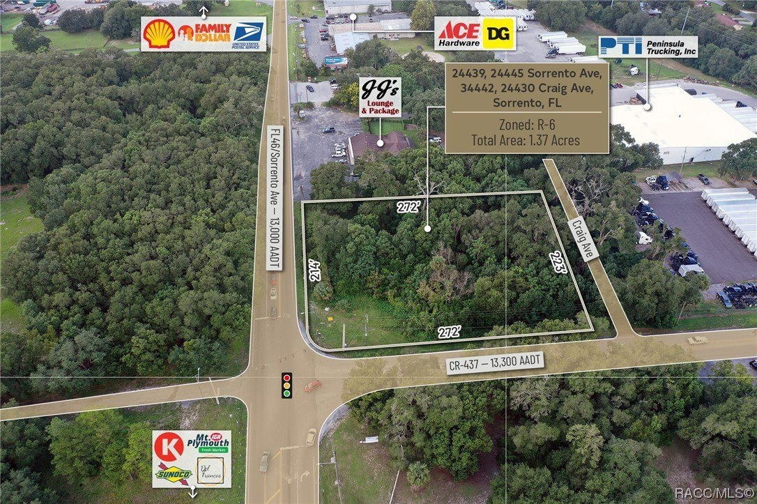 24439 Sorrento Avenue, Mount Dora, Florida, 32776, United States, ,Residential,For Sale,24439 Sorrento Avenue,1348352