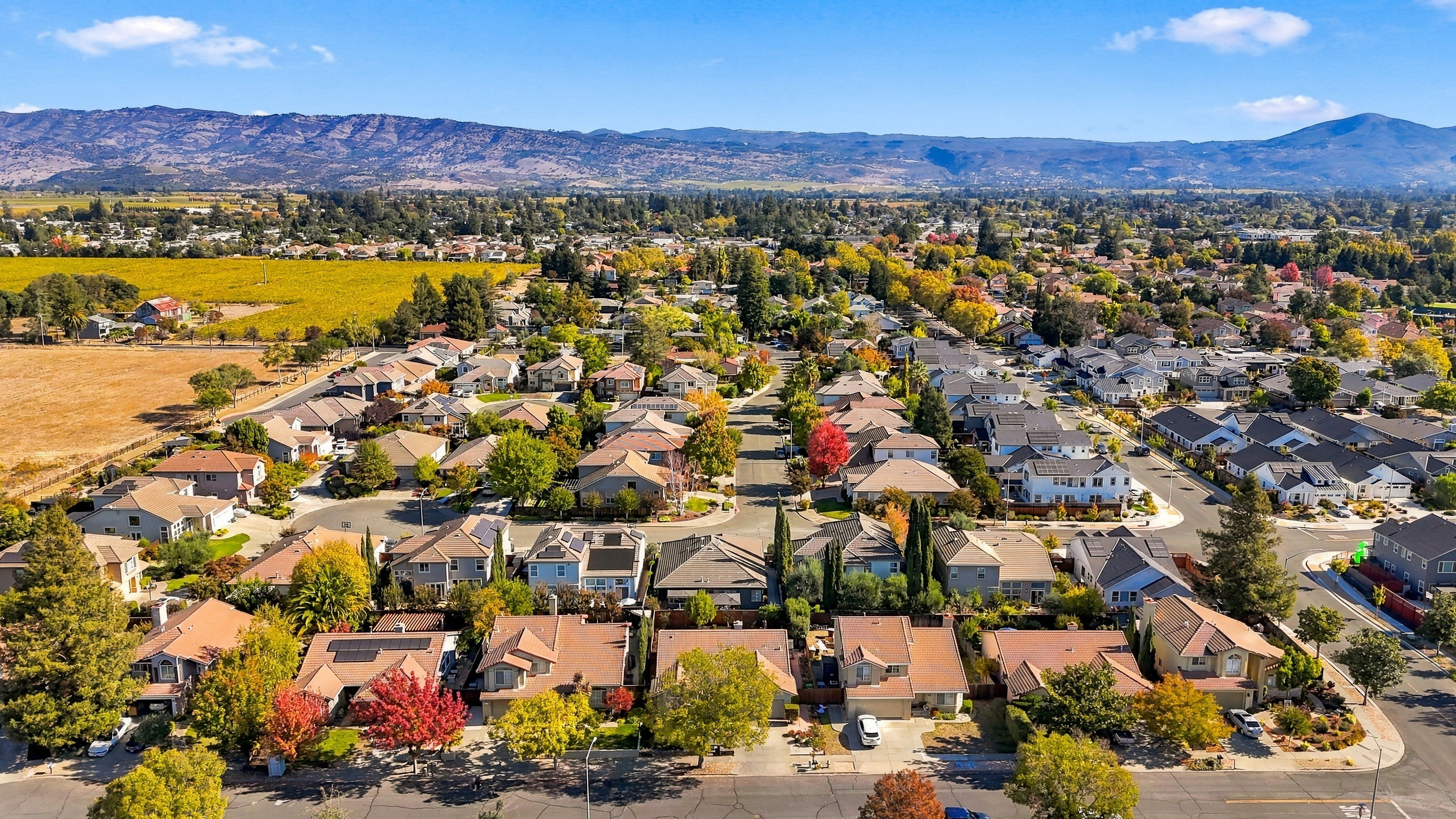  Discover the Best of North Napa Living in Dry Creek Village - 物件實景
