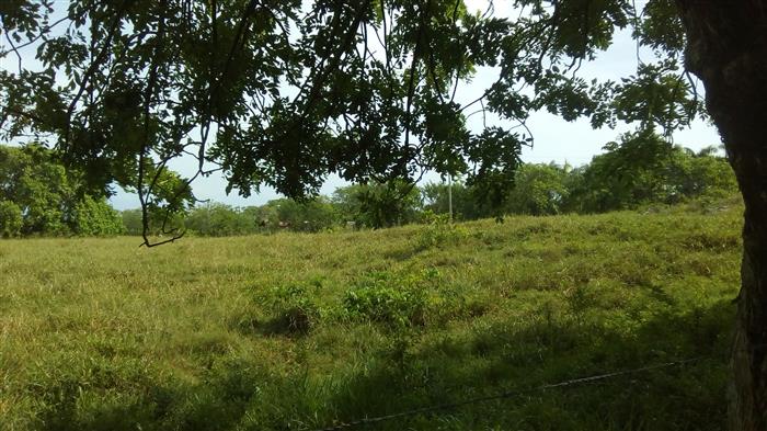 Sosua, DO, ,Land,For Sale,1622583