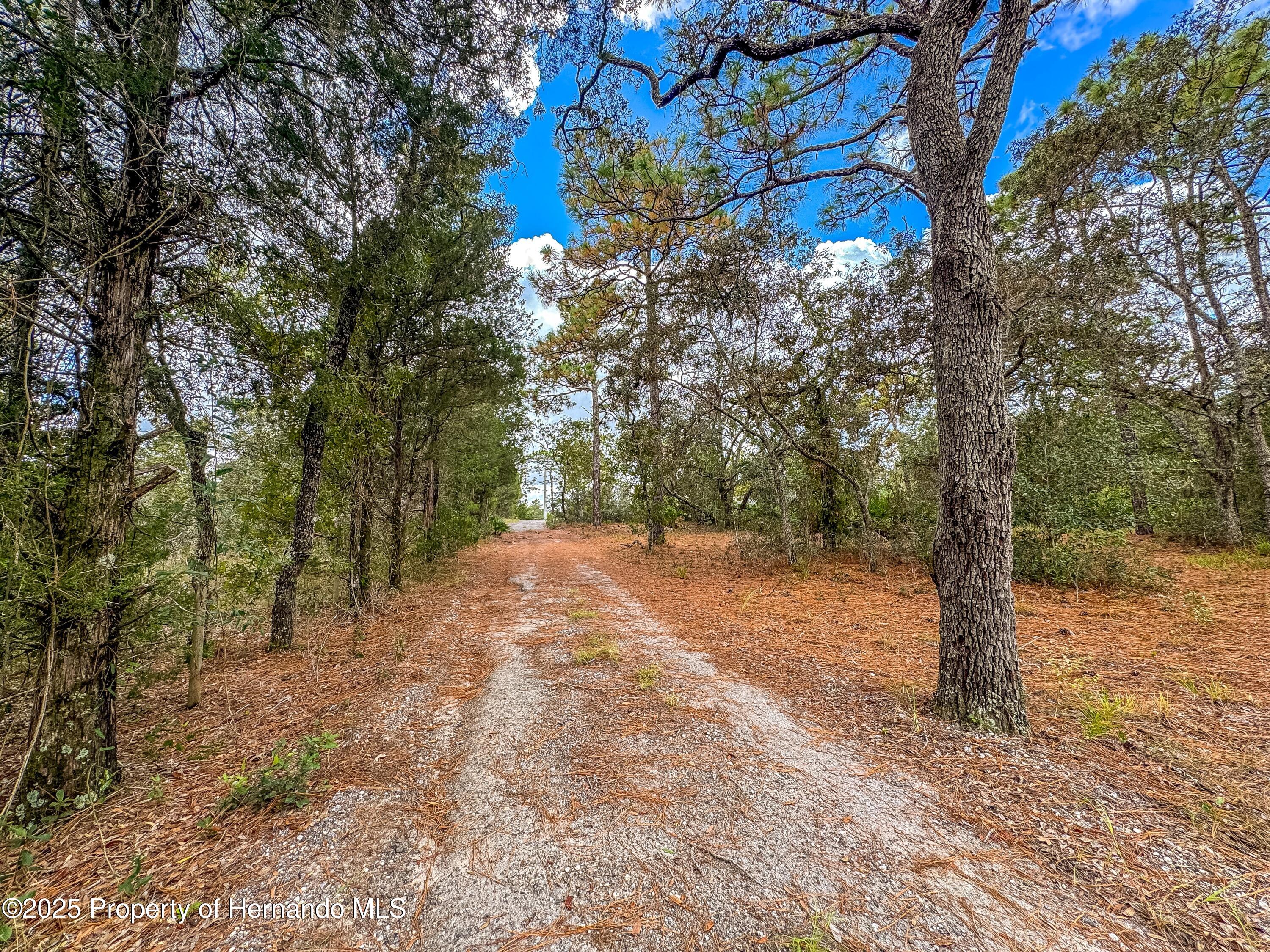 Brooksville, Florida, 34613, United States, 4 Bedrooms Bedrooms, ,2 BathroomsBathrooms,Residential,For Sale,1975088
