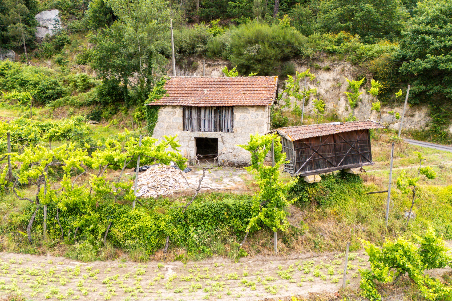  Farm, 3 bedrooms, for Sale - 物件實景