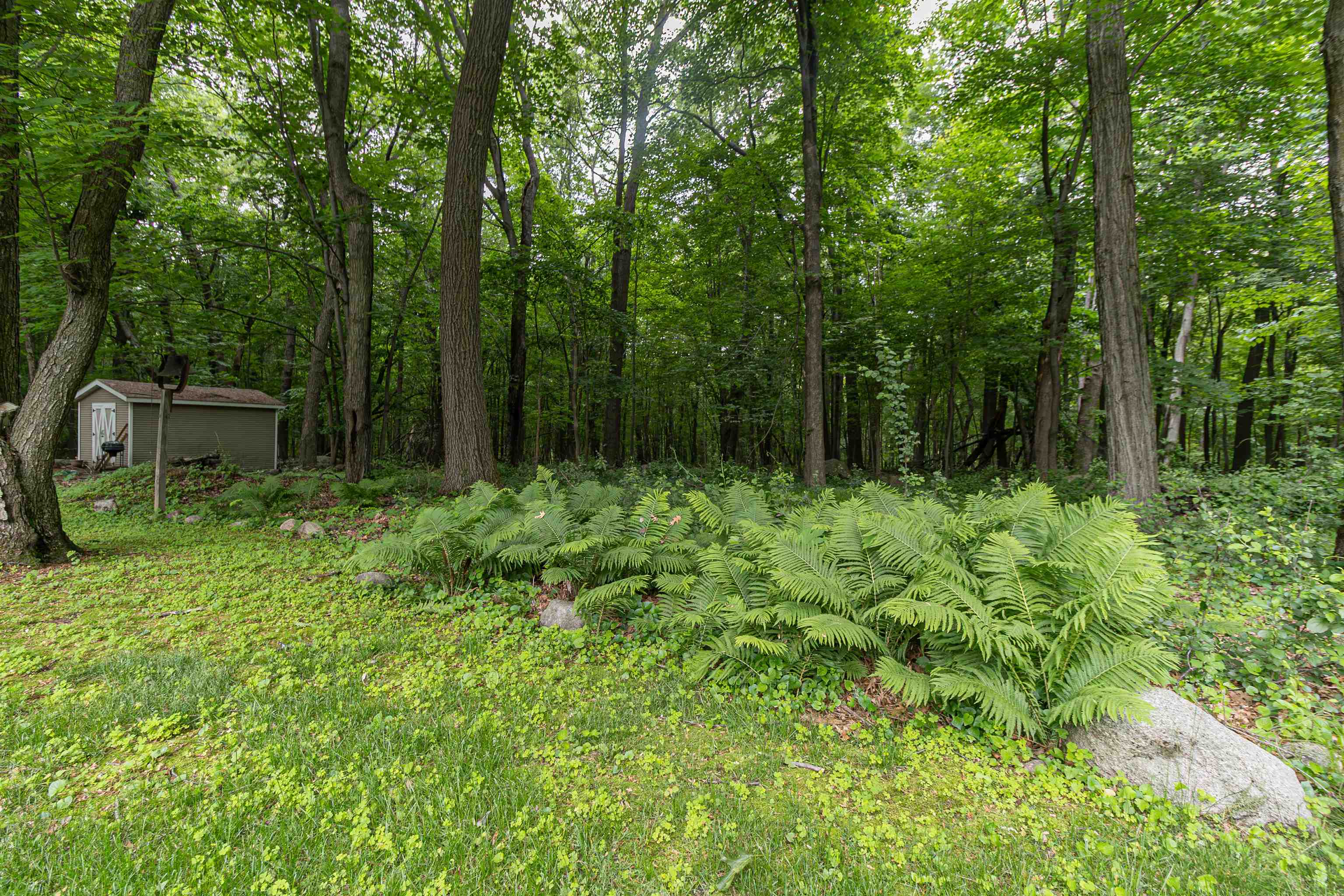 WAUPACA, Wisconsin, 54981, United States, 4 Bedrooms Bedrooms, ,3 BathroomsBathrooms,Residential,For Sale,1913222
