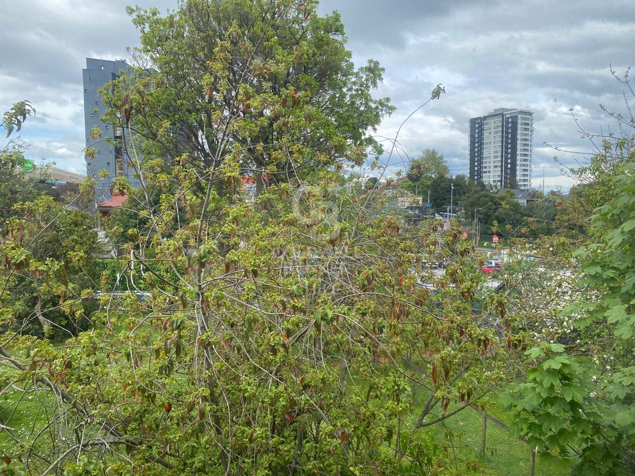 Puerto Montt, Chile, 6 Bedrooms Bedrooms, ,3 BathroomsBathrooms,Residential,For Sale,1971568