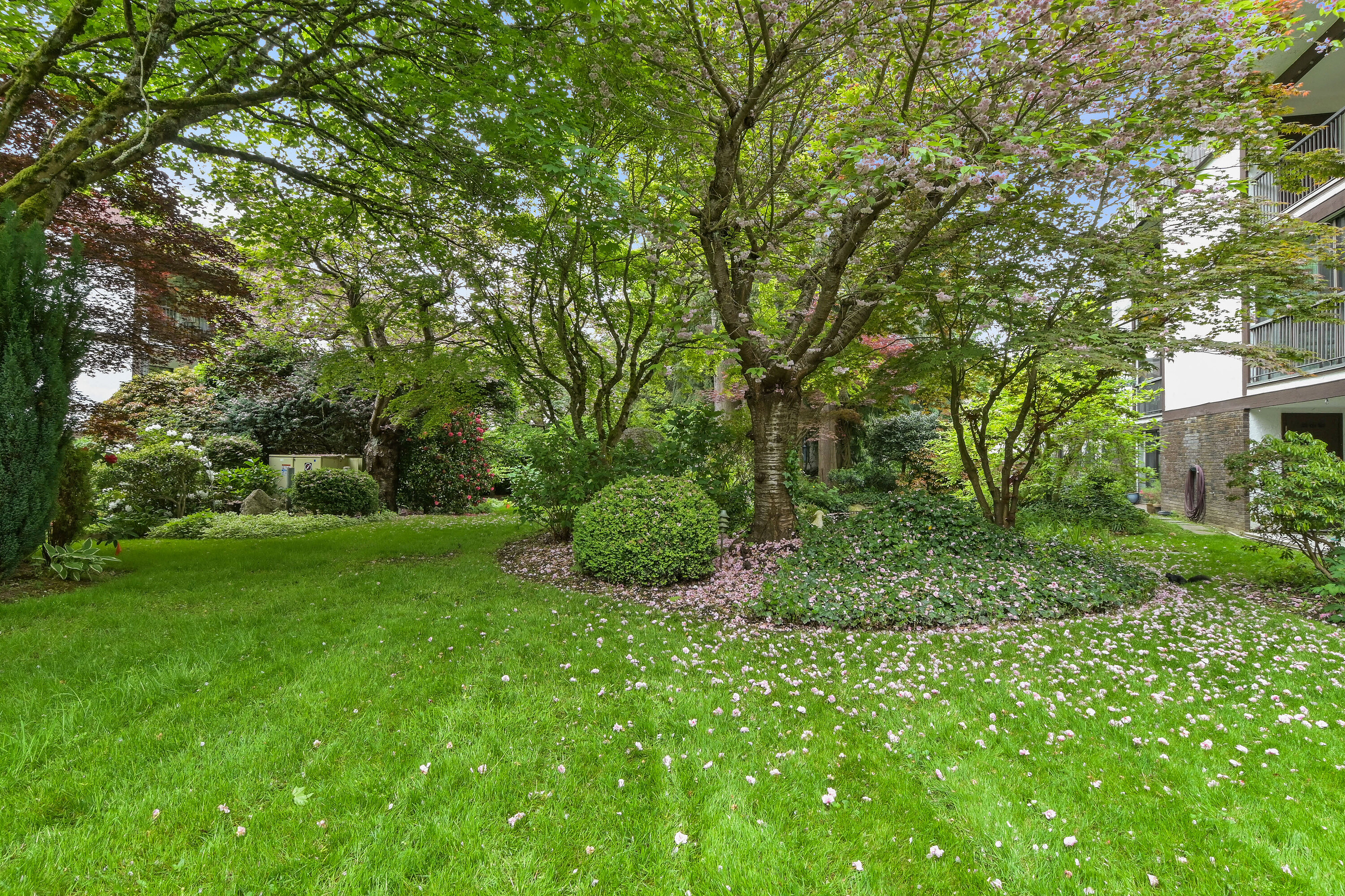  The Sandringham on Blackwood - 物件實景