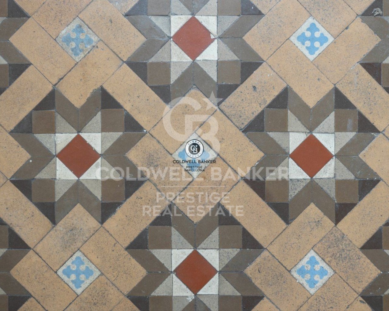 Barcelona, Barcelona, Eixample, La Dreta de l'Eix, Barcelona, Catalonia, ES, 12 Bedrooms Bedrooms, ,3 BathroomsBathrooms,Residential,For Sale,Barcelona, Barcelona, Eixample, La Dreta de l'Eix,1627487