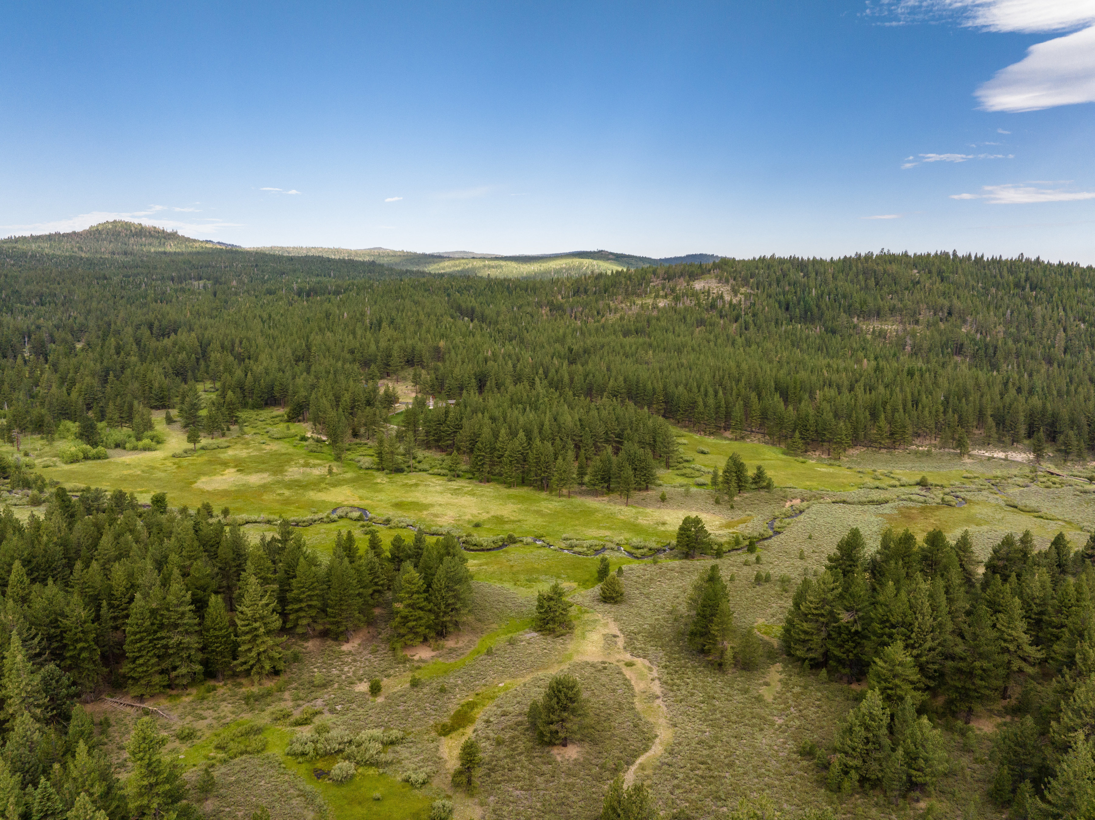  High Meadow Ranch Lodge - 物件實景