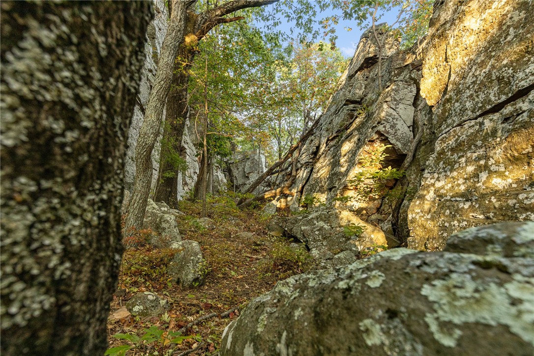 Harrison, Arkansas, 72601, United States, ,Land,For Sale,1903460