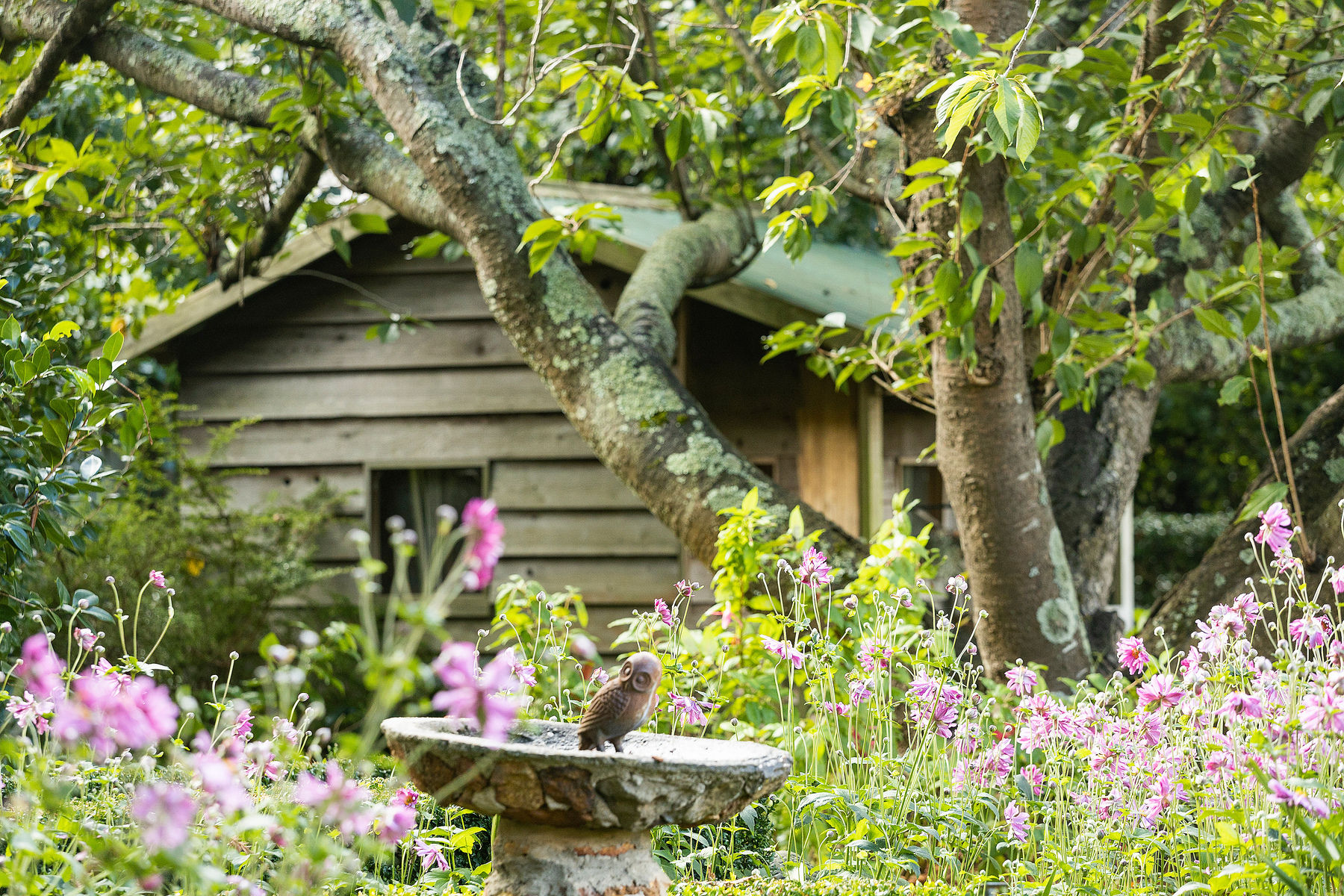  Redwood - 物件實景