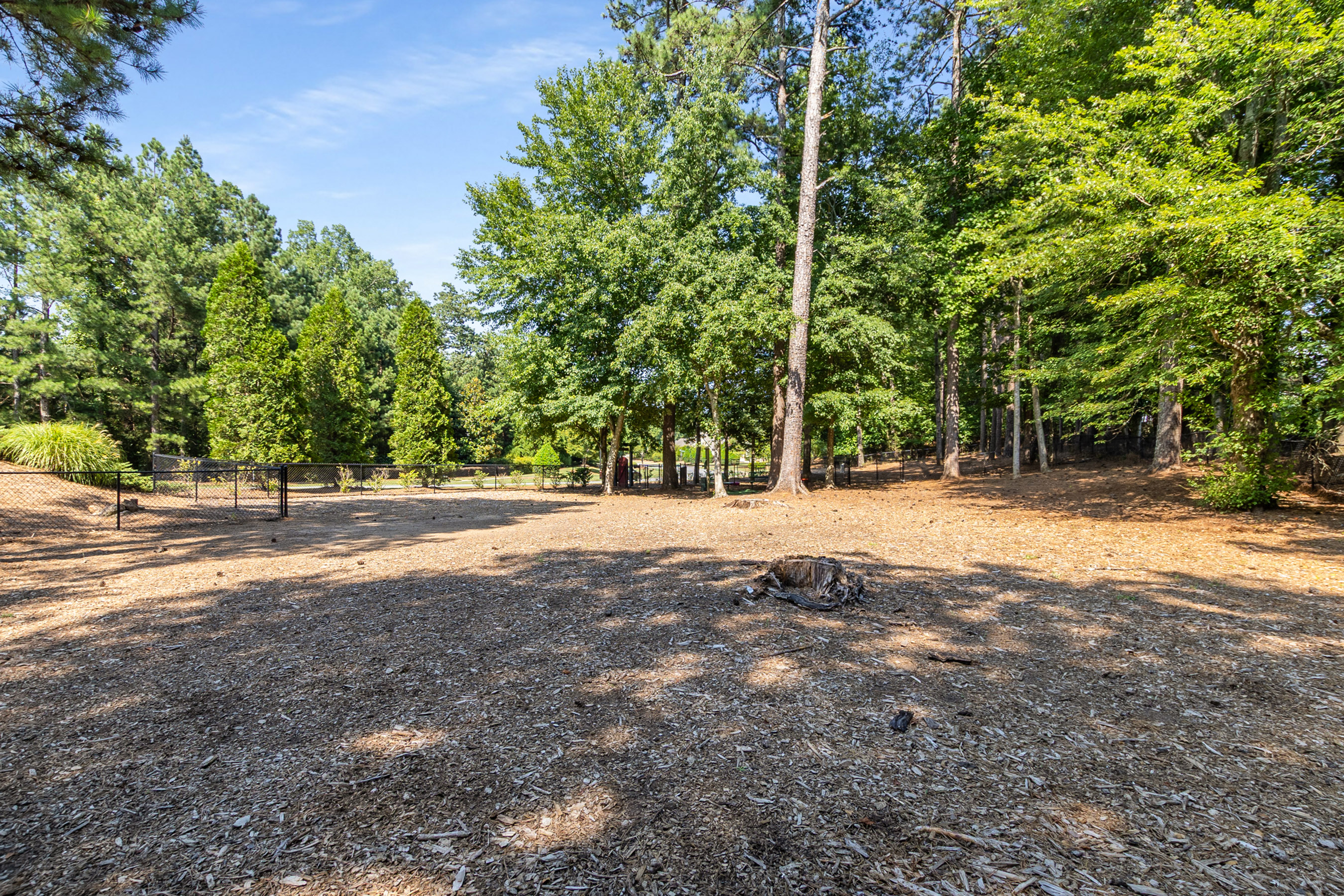  Unrivaled Curated Luxury at Cresswind at Lake Lanier - 物件實景