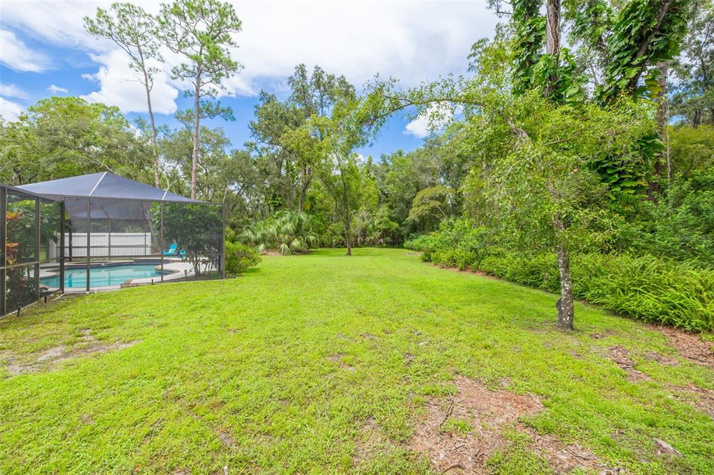 Tampa, Florida, 33626, United States, 5 Bedrooms Bedrooms, ,3 BathroomsBathrooms,Residential,For Sale,1941740