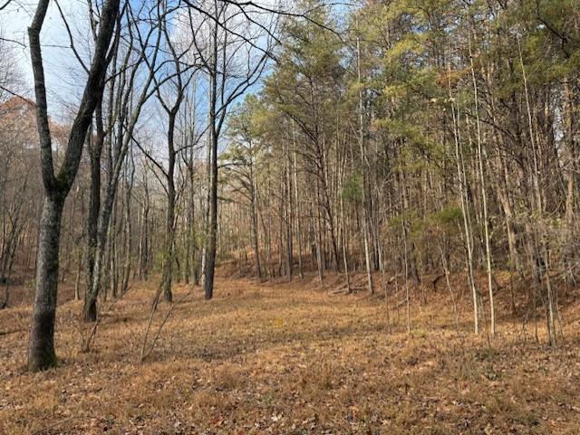 Talking Rock, Georgia, 30175, United States, ,Land,For Sale,1995157