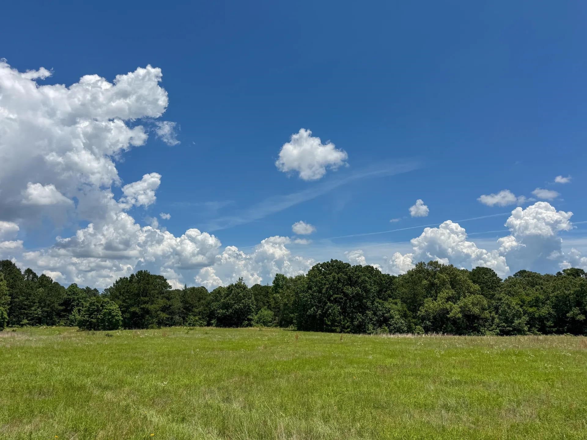 Douglassville, Texas, 75560, United States, ,Land,For Sale,2048006